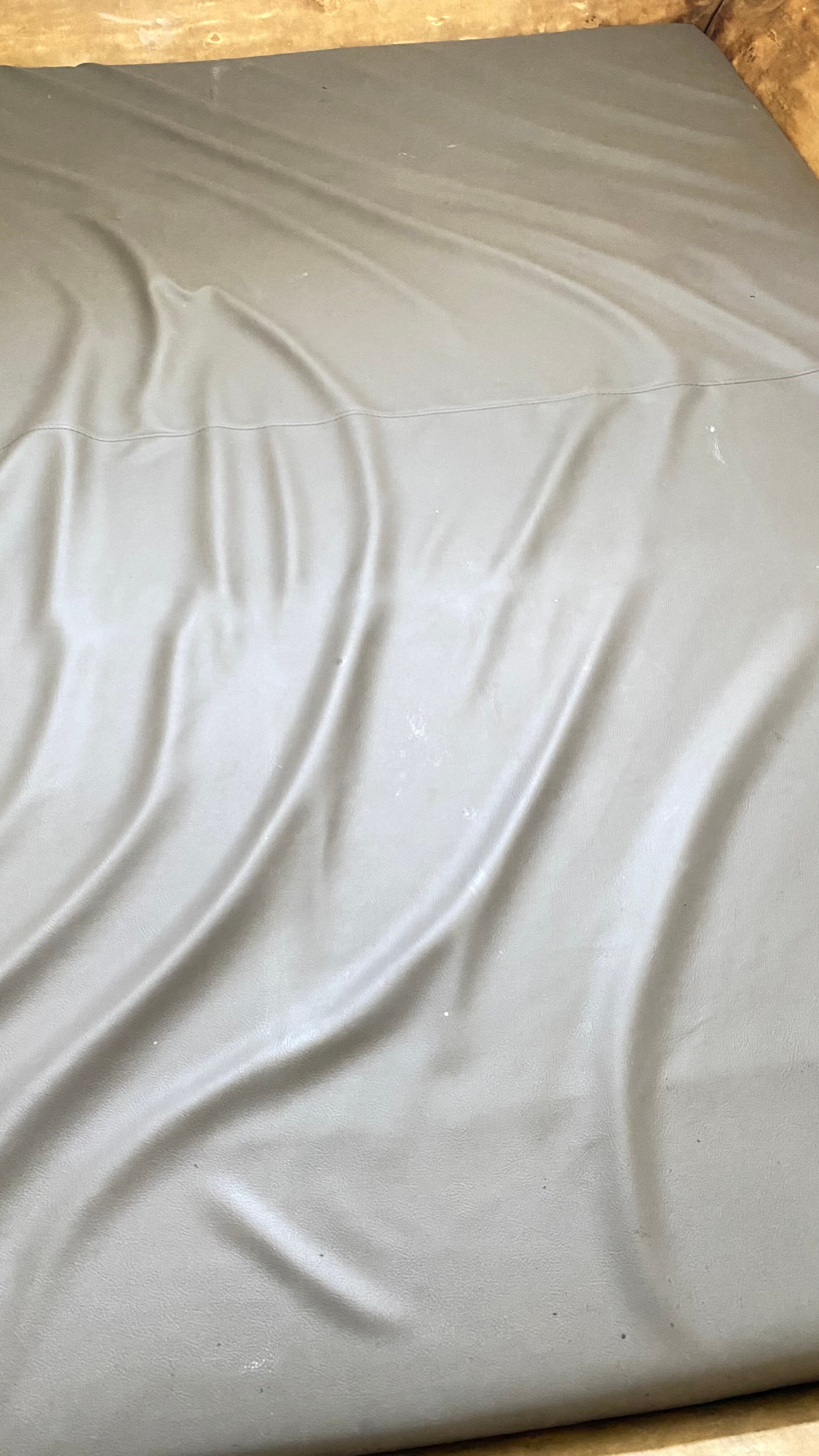 Фото Золотое крыло