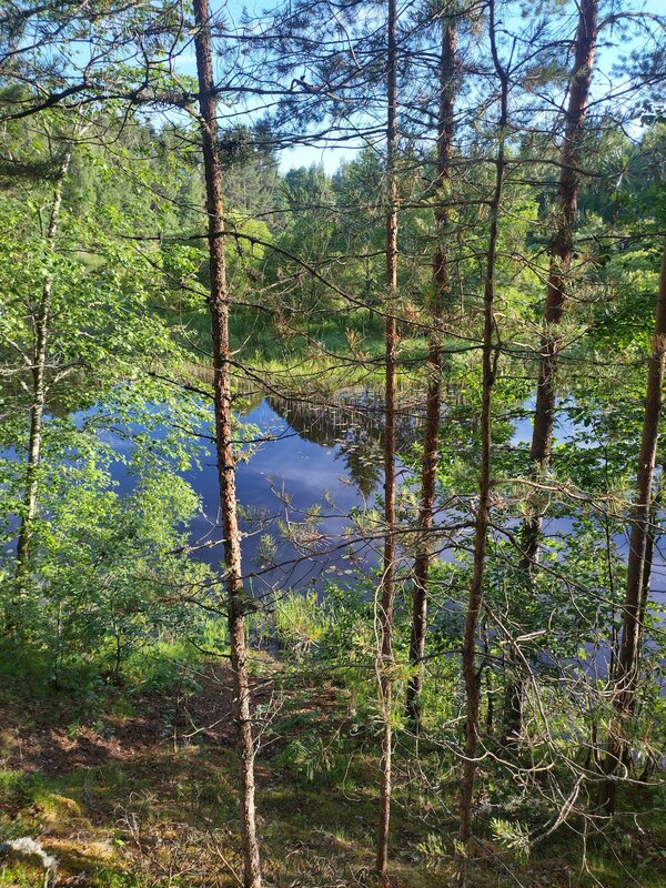 Домик на озере — фото 43