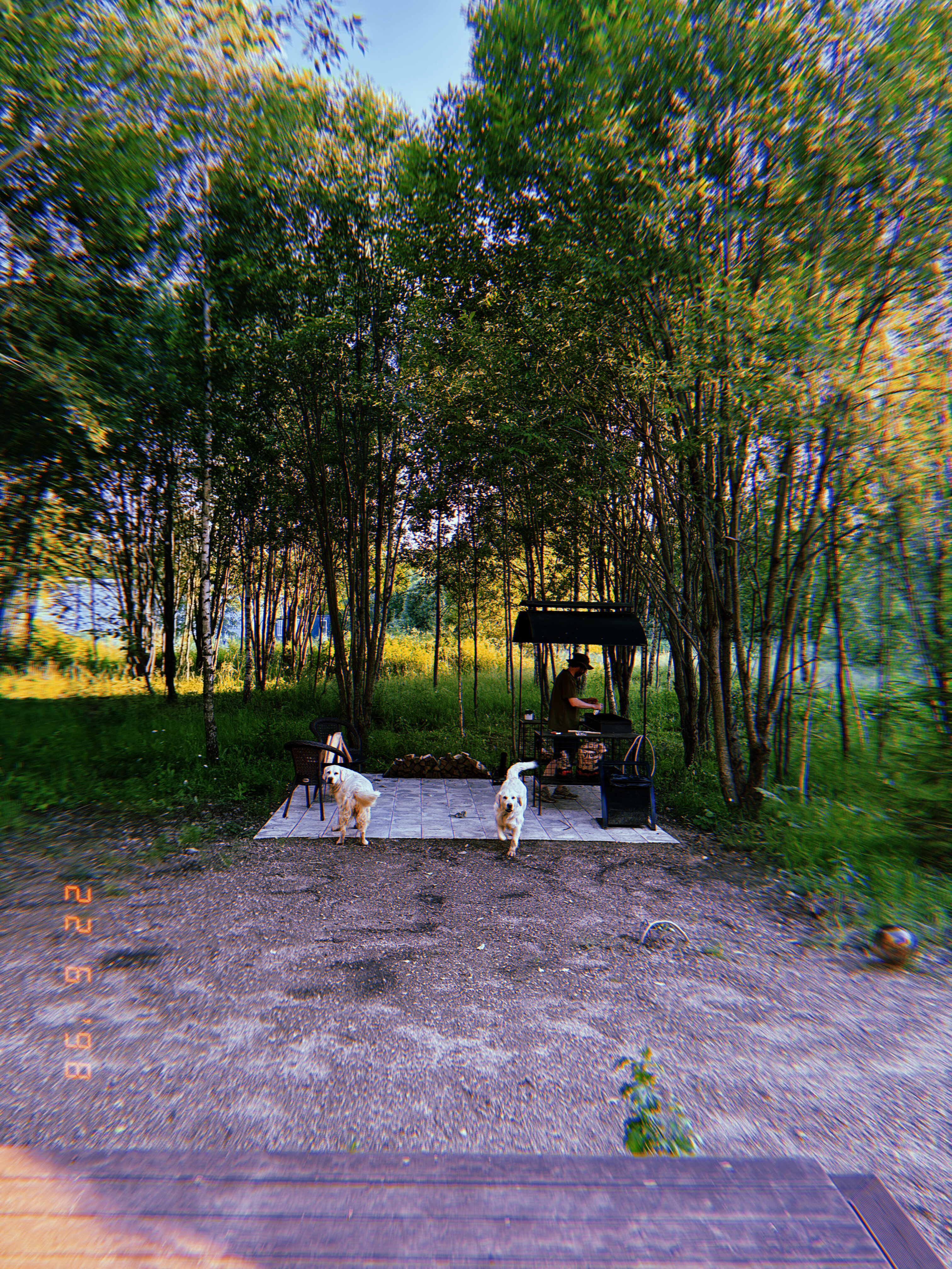 Фото Парк Север