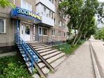 Зоомаркет (Tcherdynskaya Street, 6), pet shop
