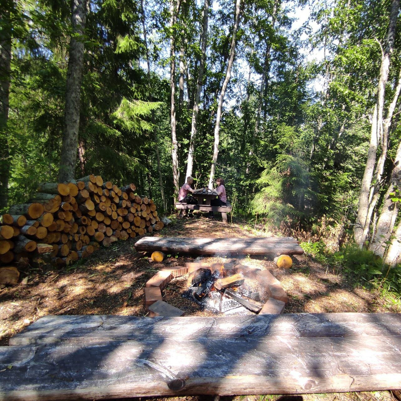 Фото Пение птиц