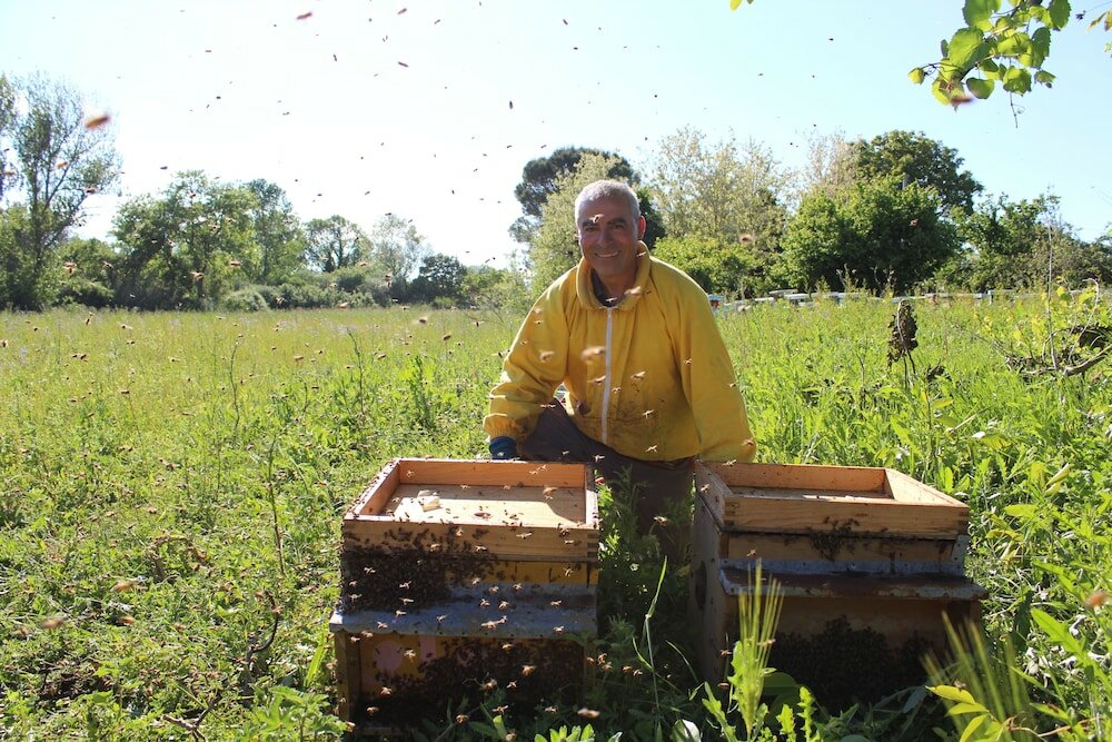 Фото Villa Tosca
