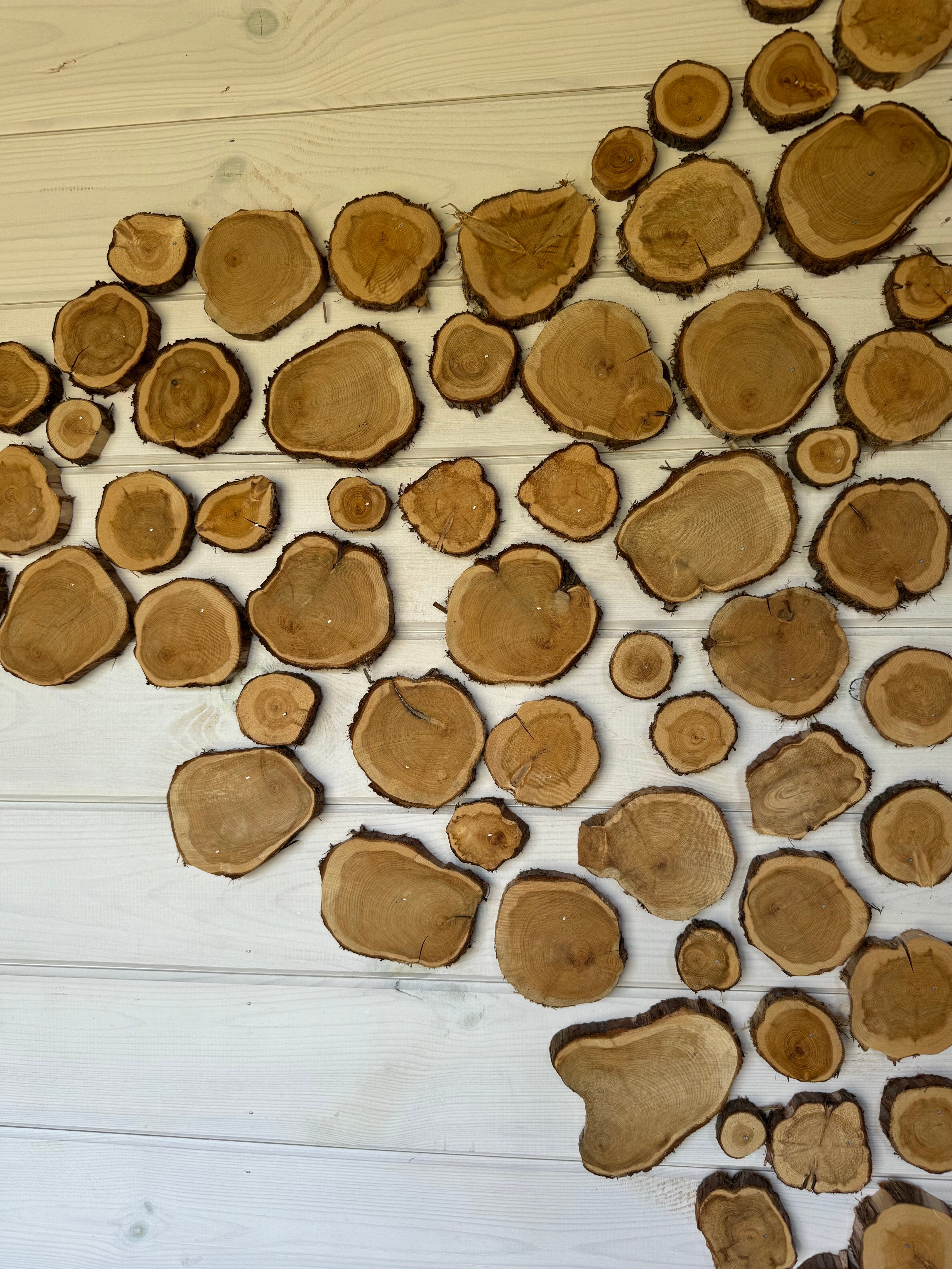 Фото РяДом Лес