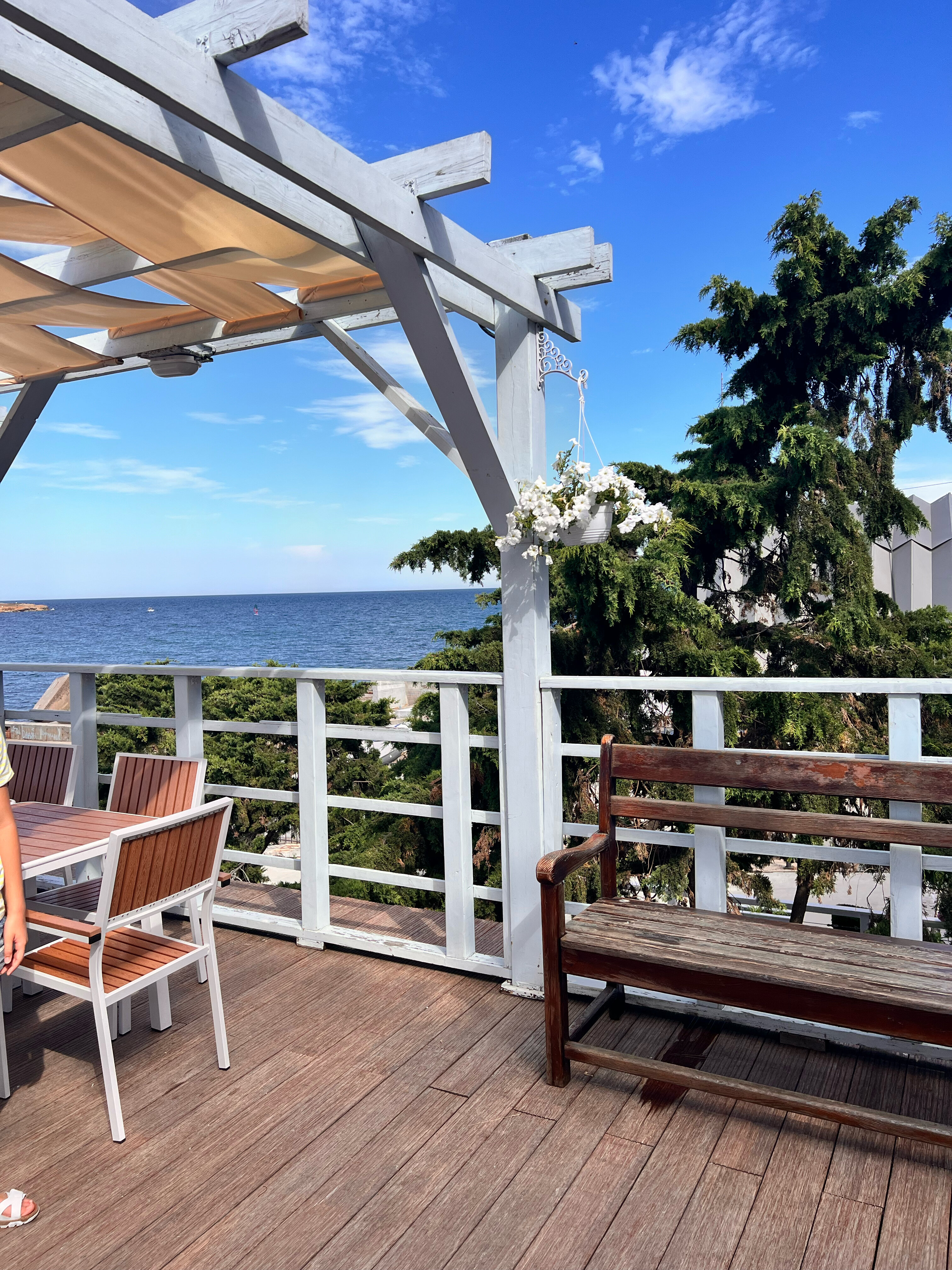 Фото Яхт клуб Юг