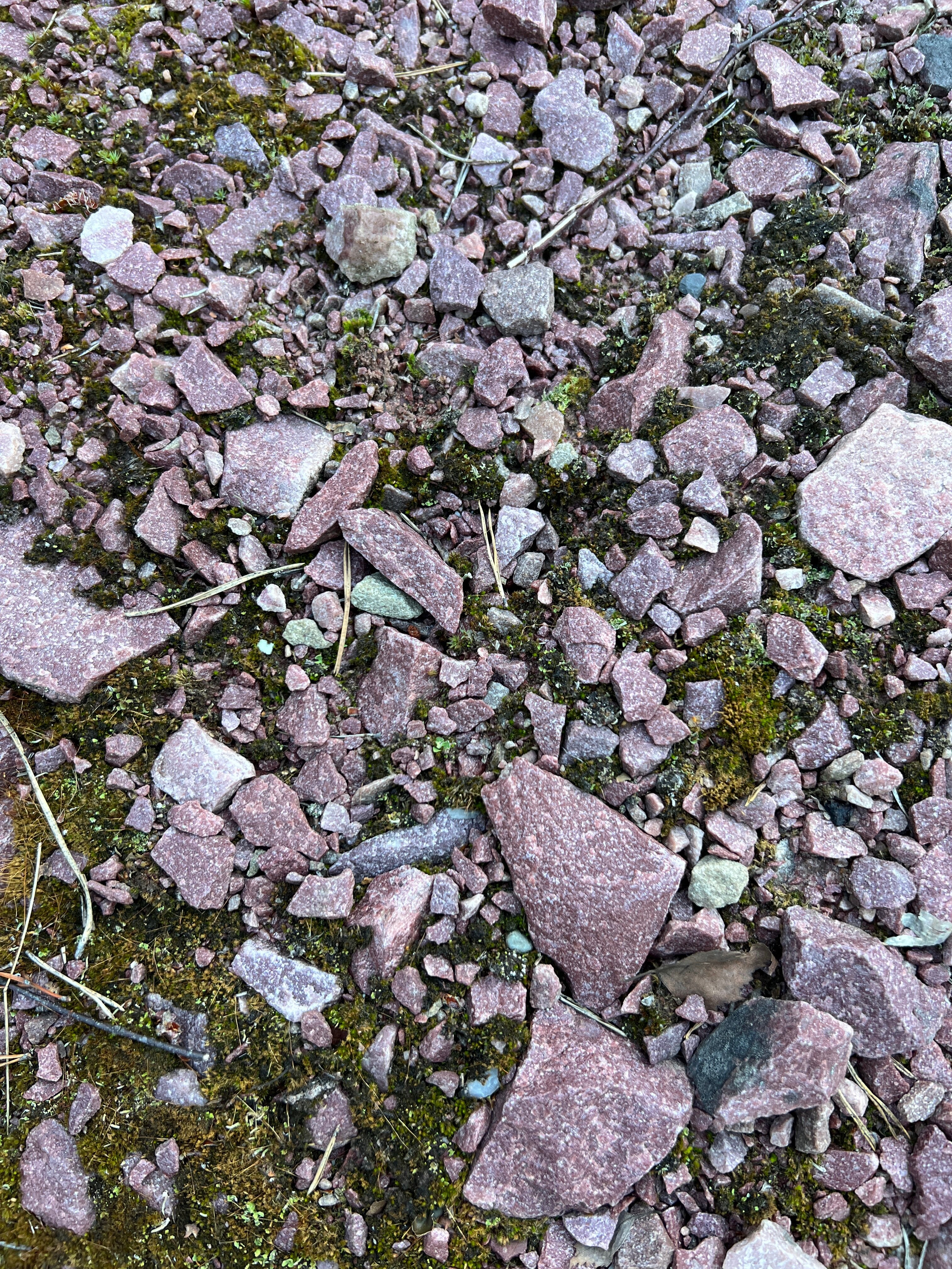 Фото Вепсская Горница