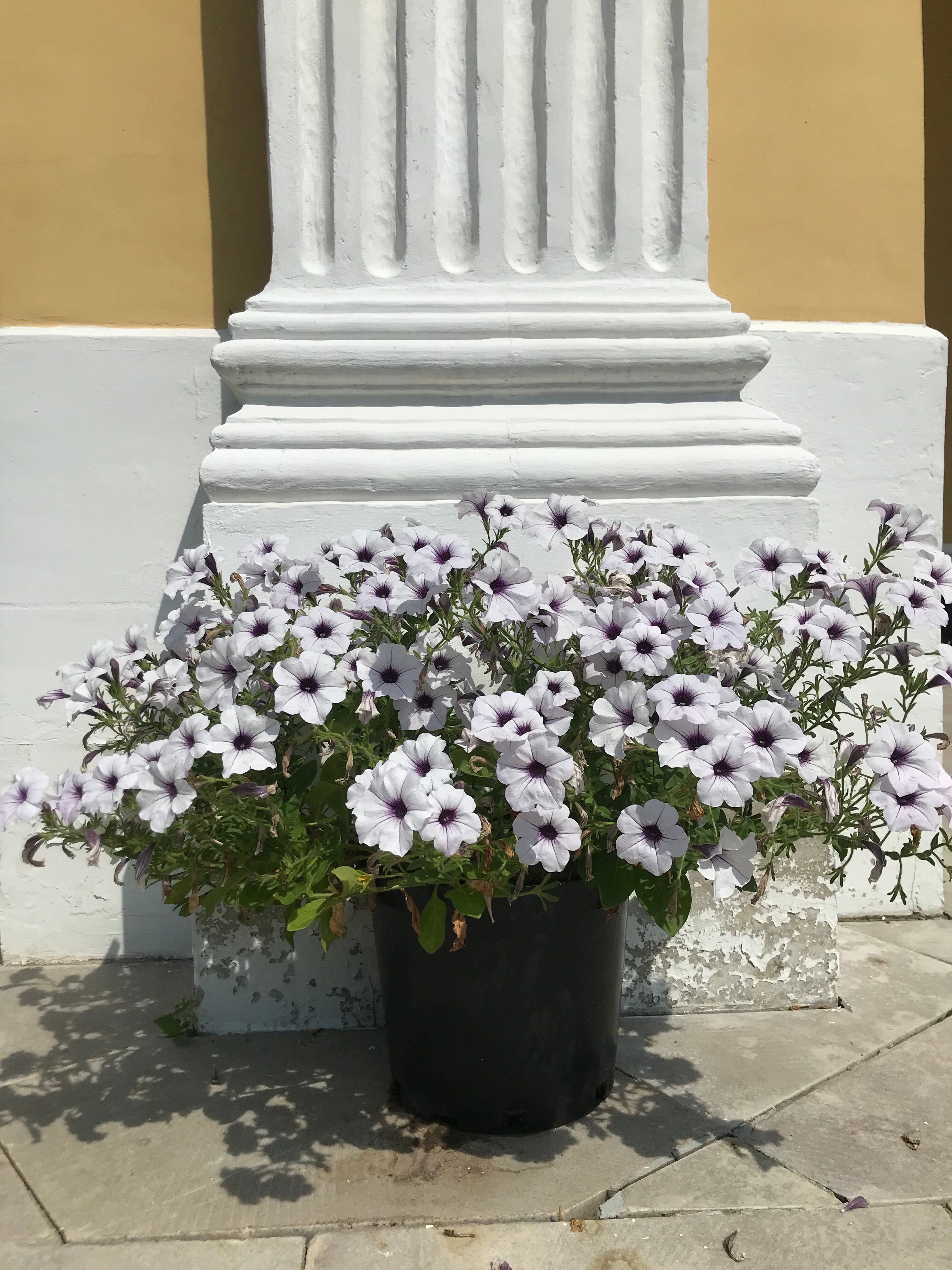 Фото Happy place