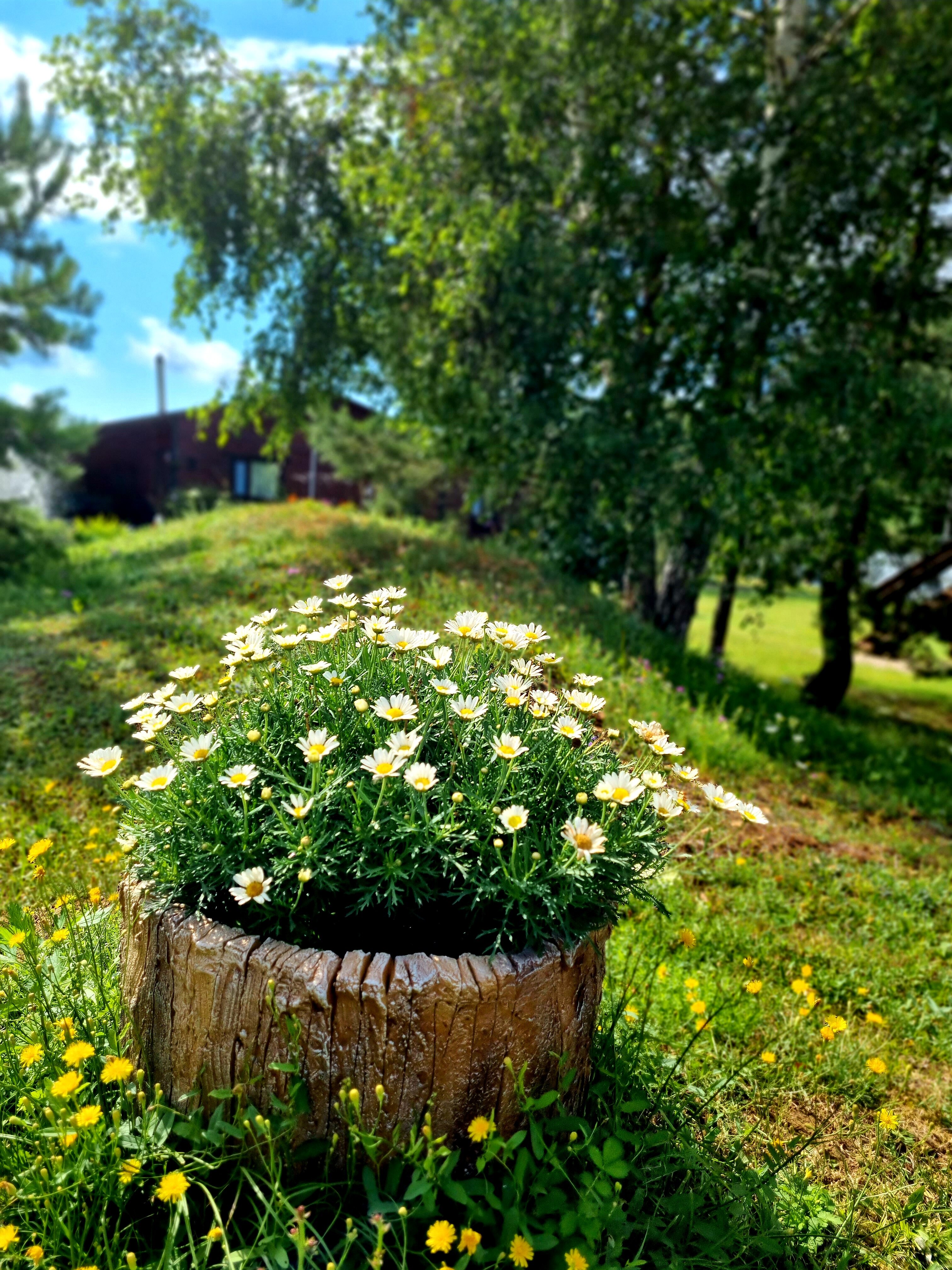 Фото ГК Волковское