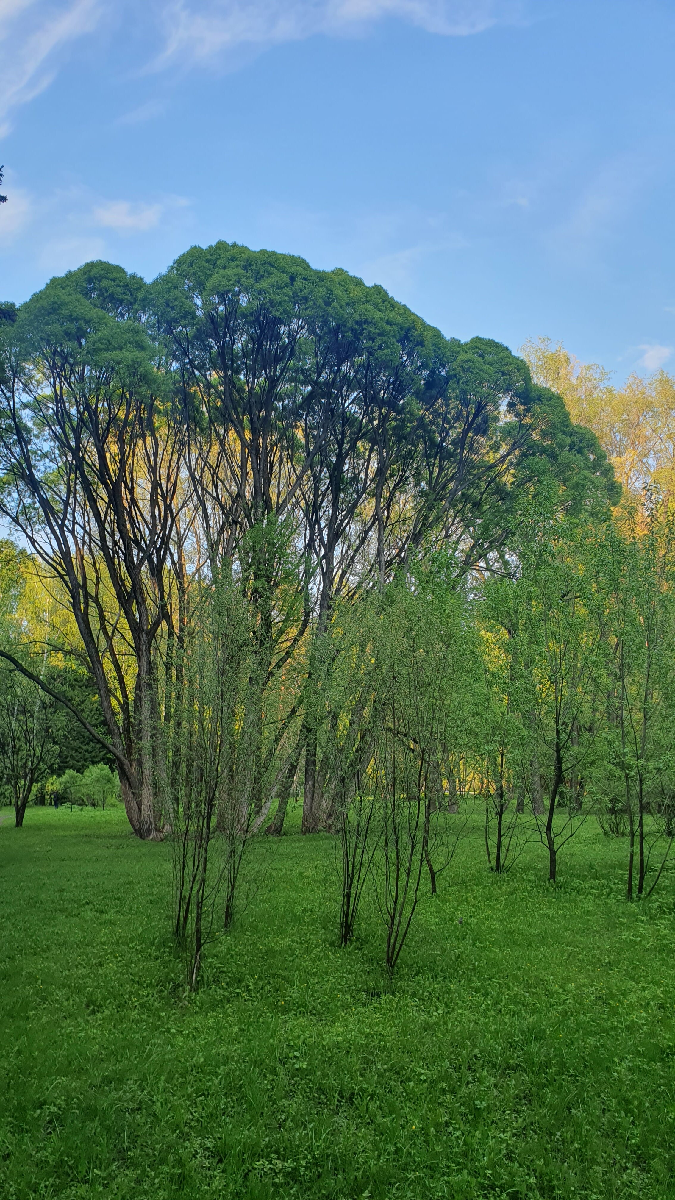 Фото Золотая долина