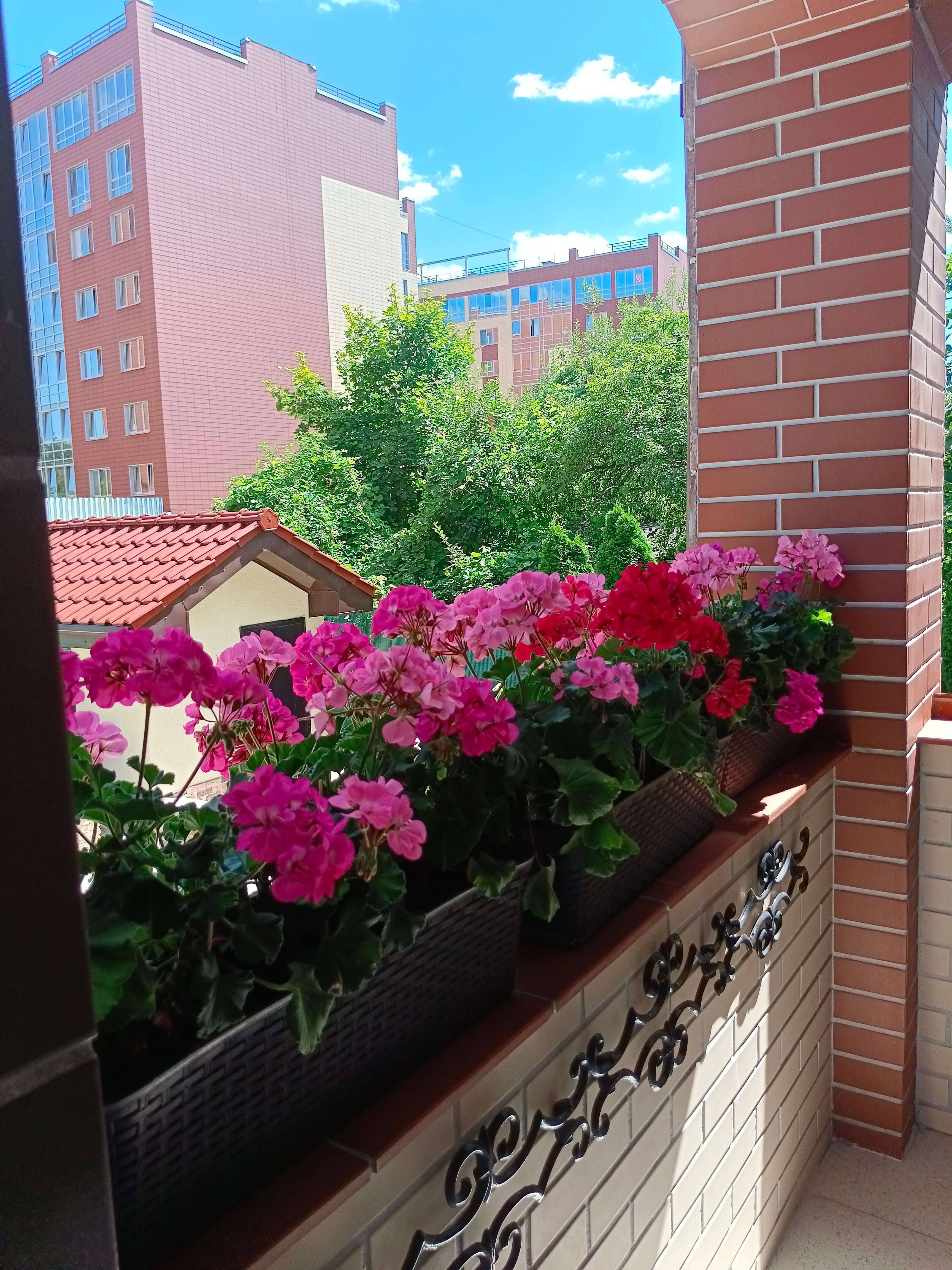 Фото Вилла Надежда