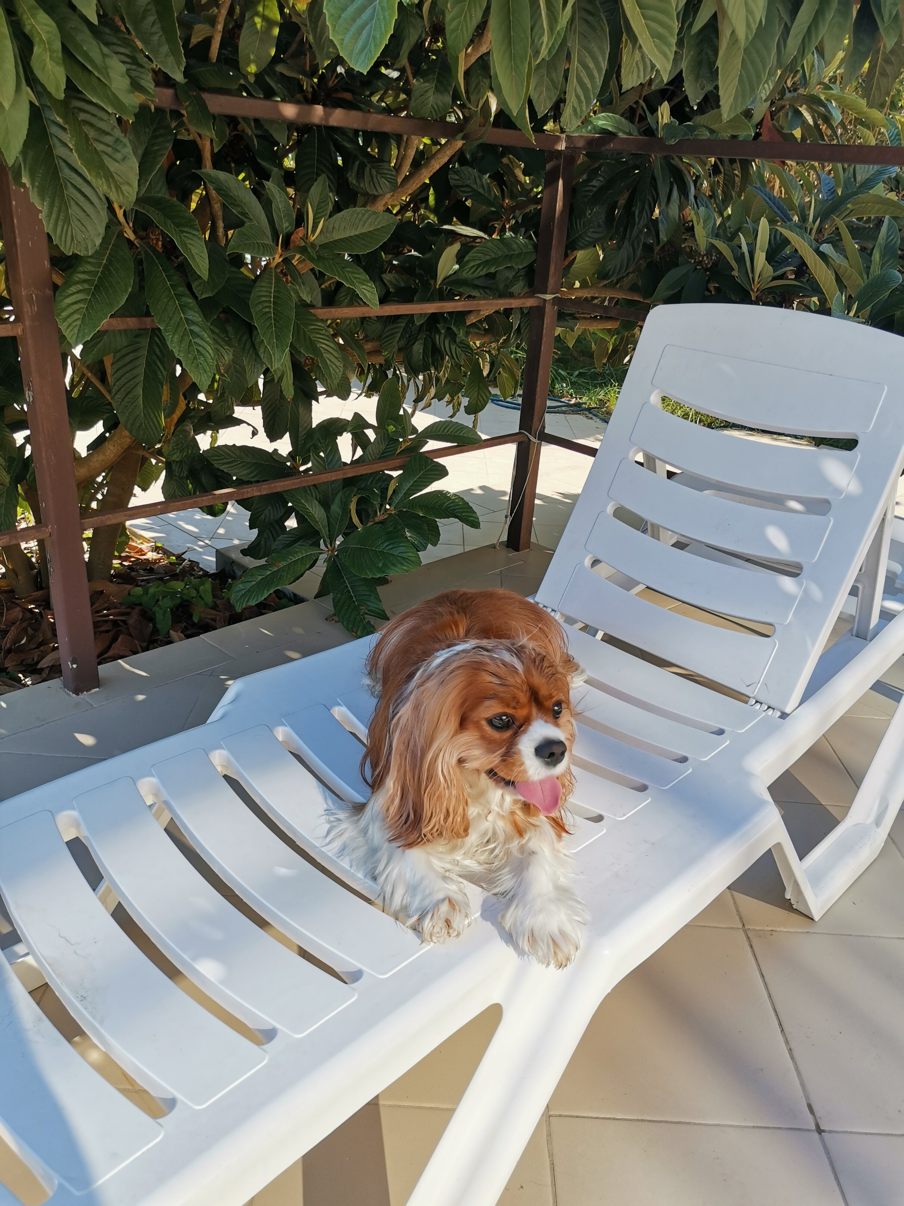 Фото Forest Club