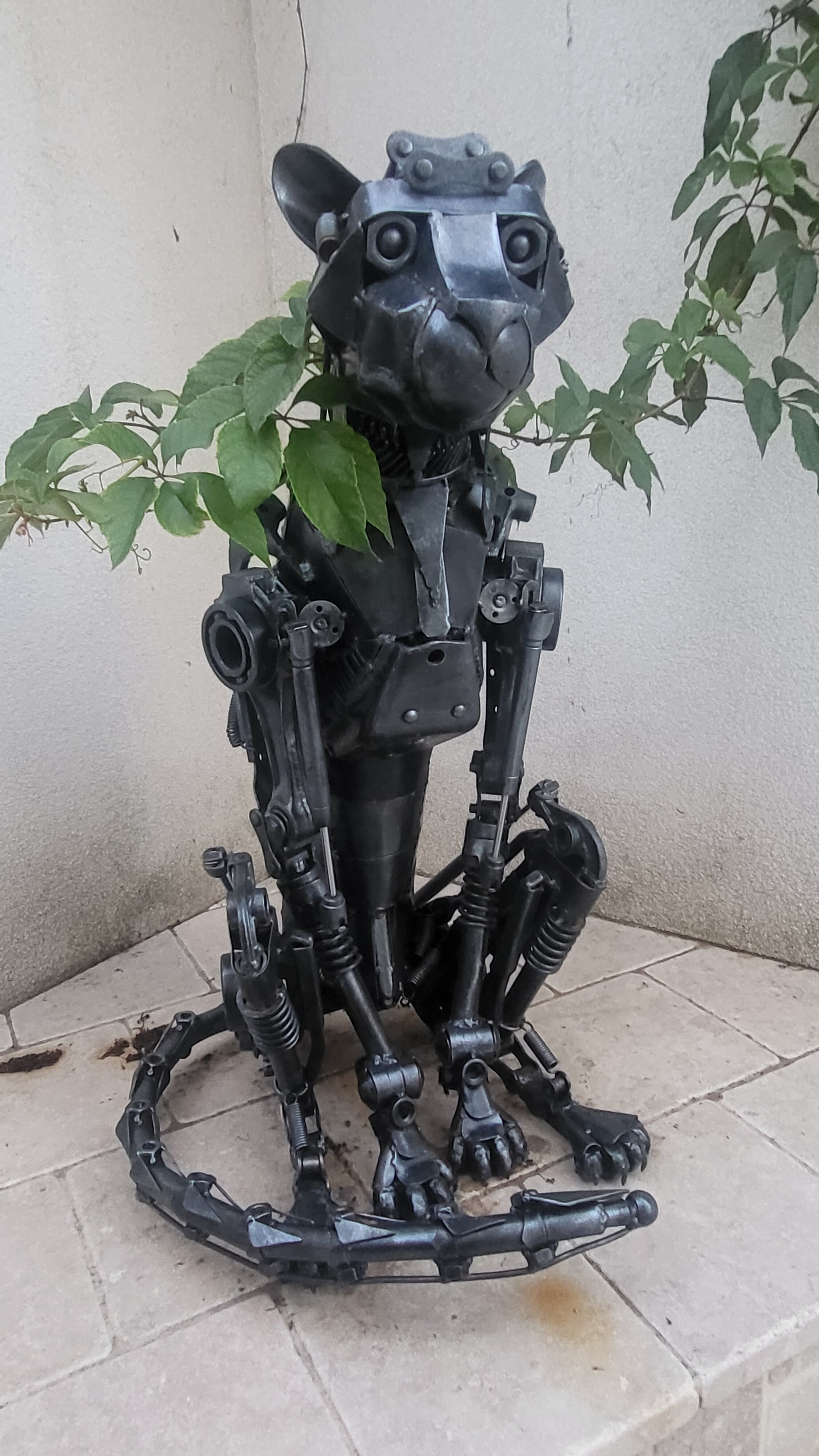 Фото Белая Терраса