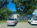 Фельдшерско-акушерский пункт (Chapaevo Village, Mira Street, 88), ambulatory care centre, first aid post