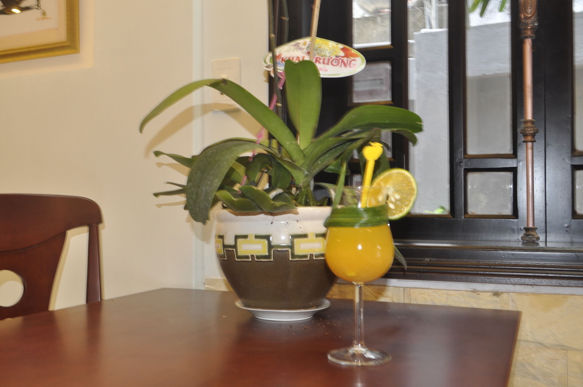 Фото Green Coco Homestay Hoi An