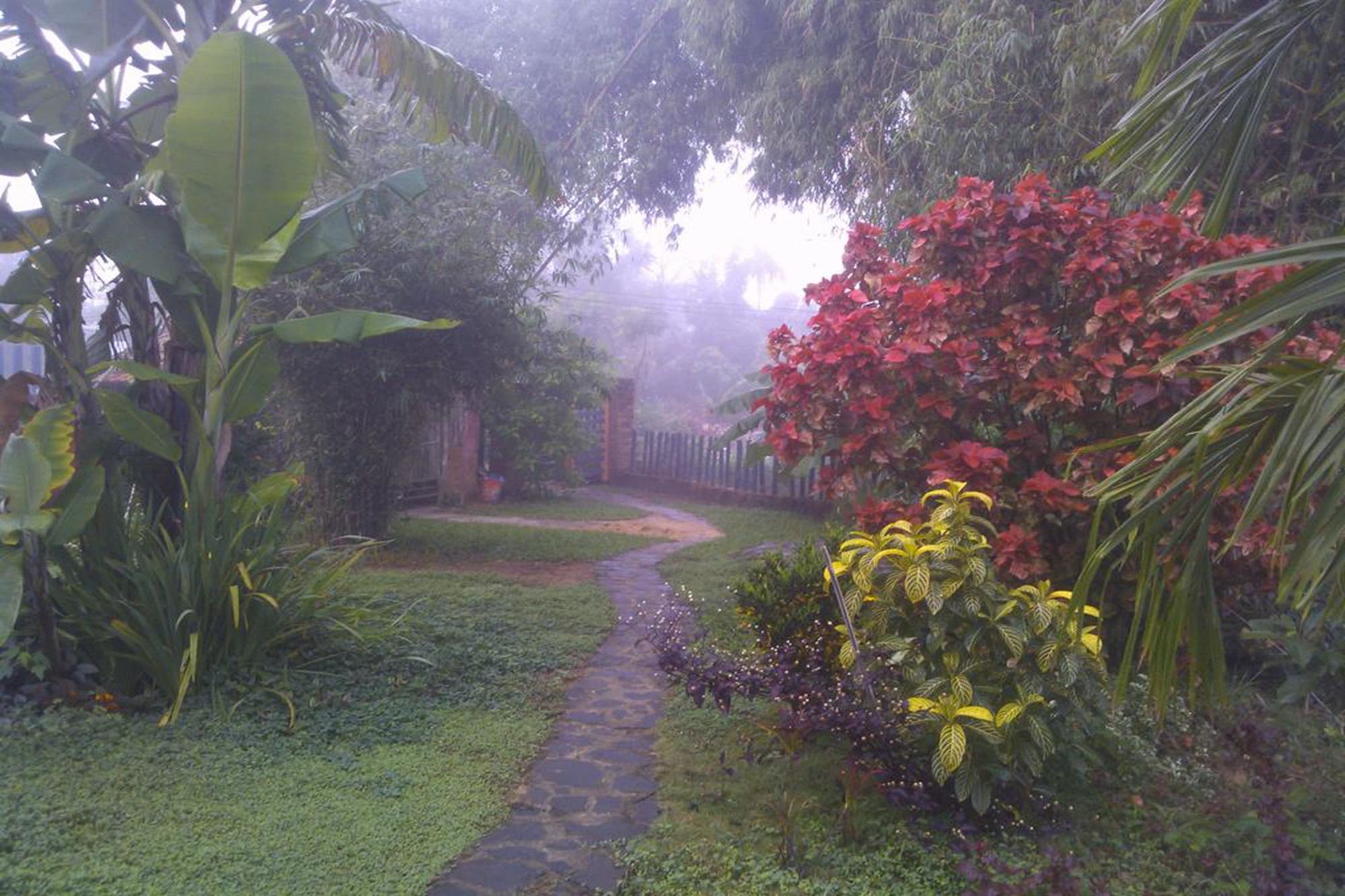 Фото La Terrazza