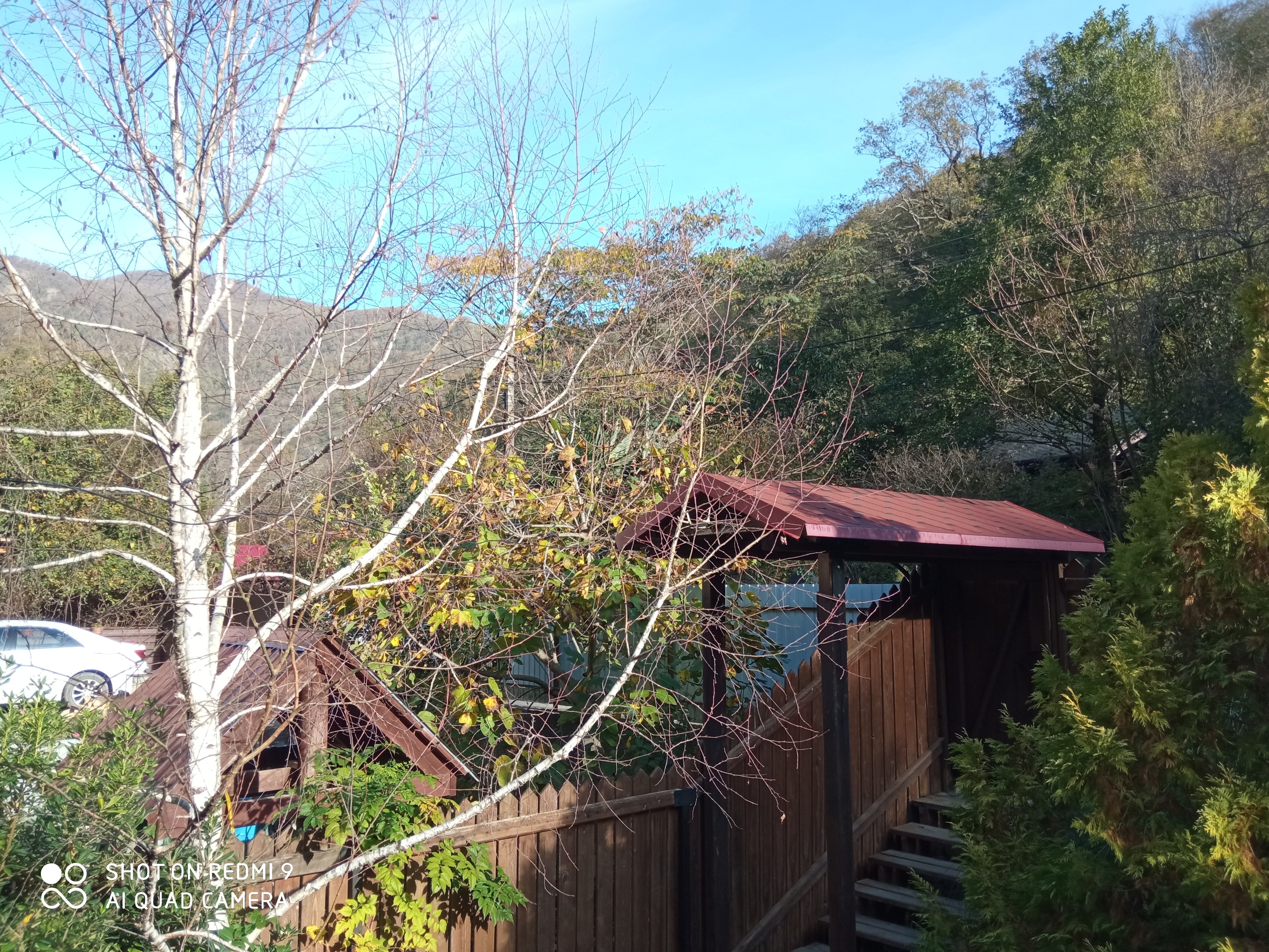 Фото Дача в райском месте