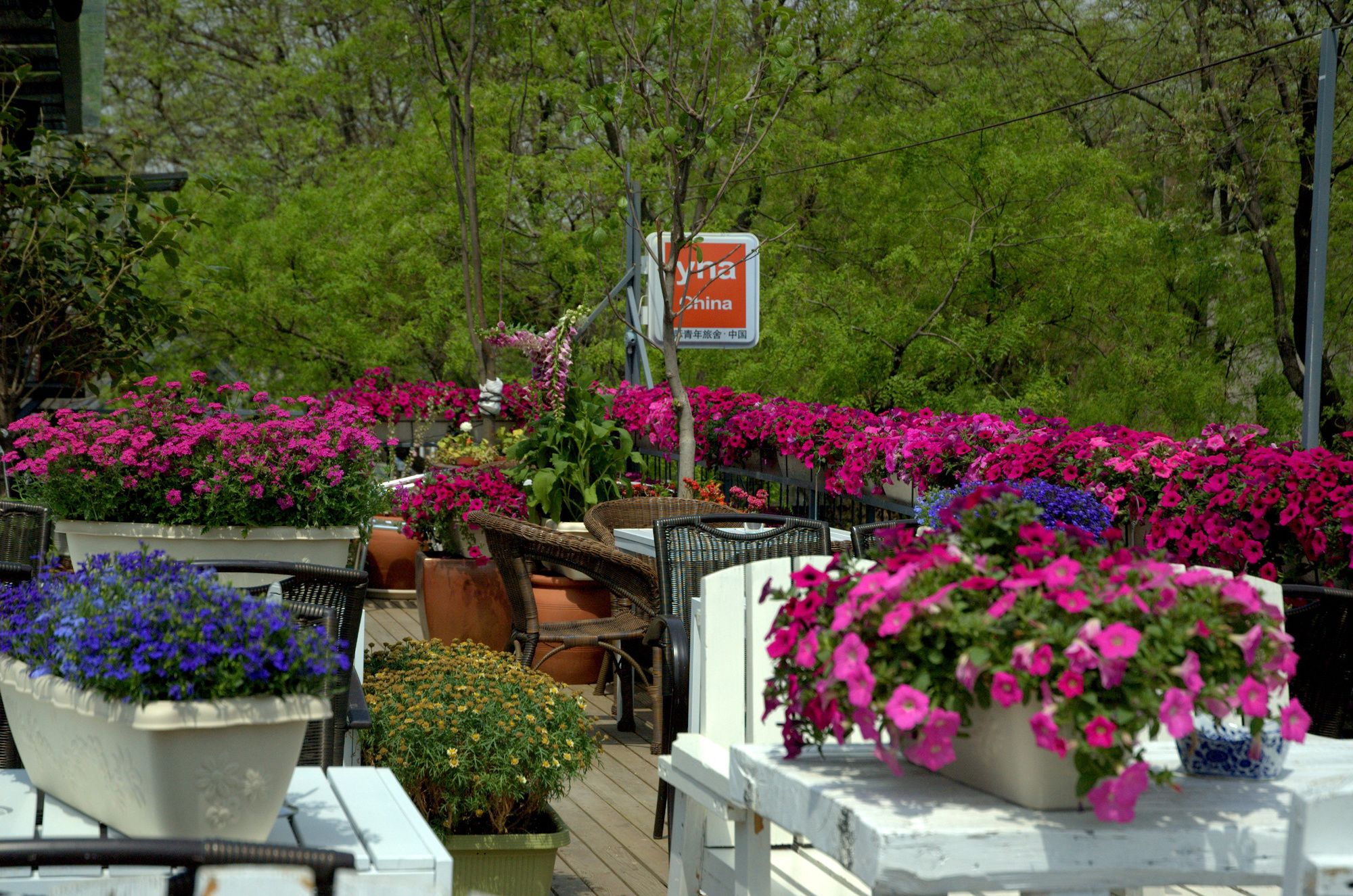 Фото Peking International Youth Hostel