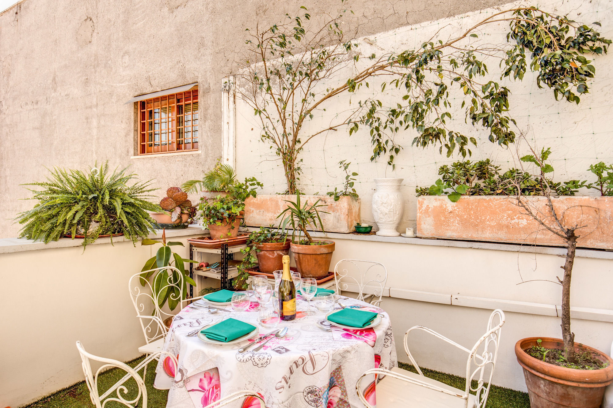 Фото B&b Piramide Terrace