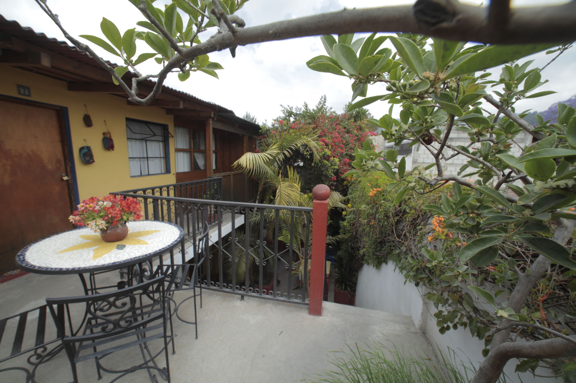 Фото Yellow House - Hostel