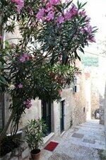 Гостиница Dubrovnik Sweet House