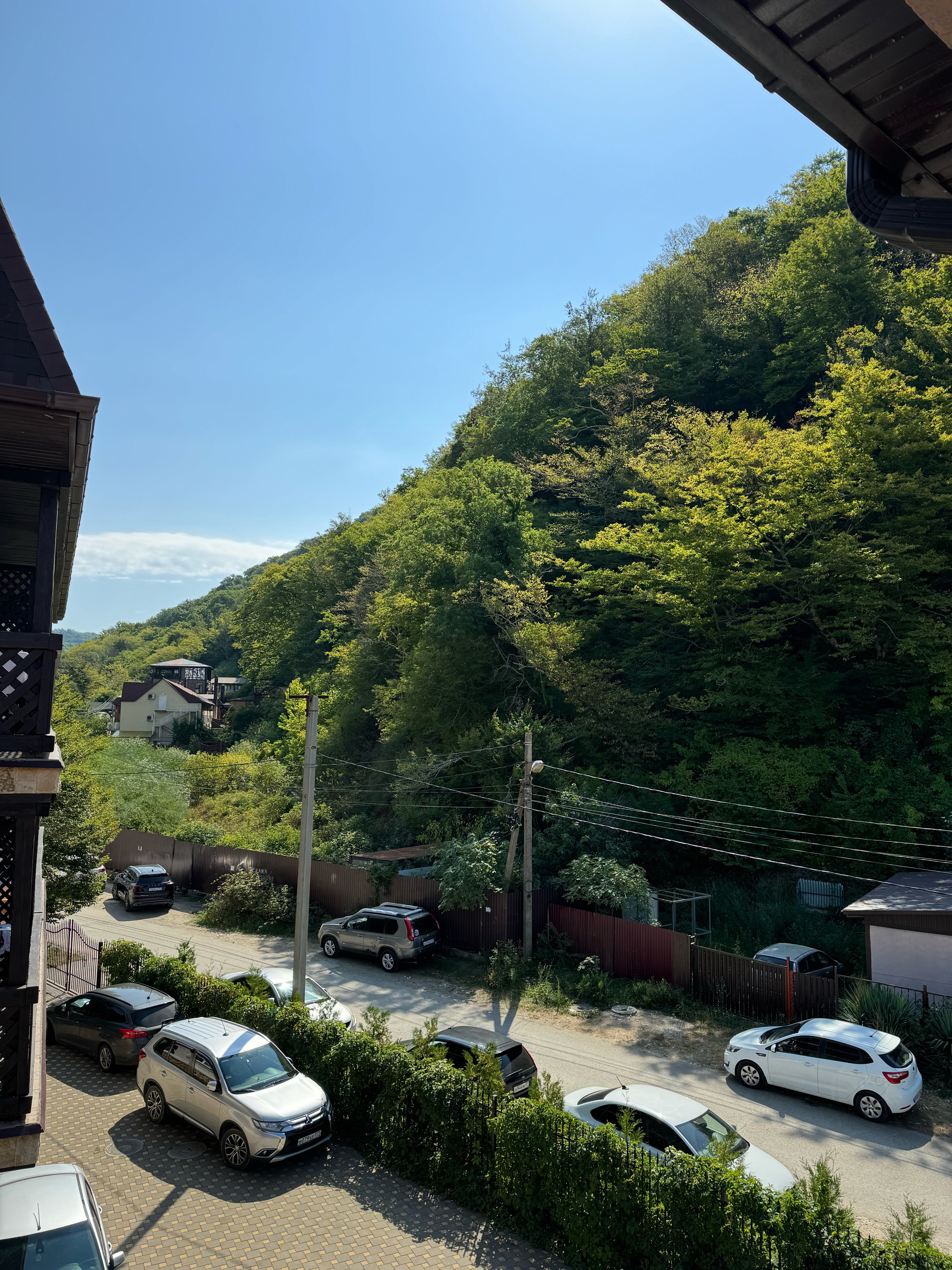 Фото Вероника