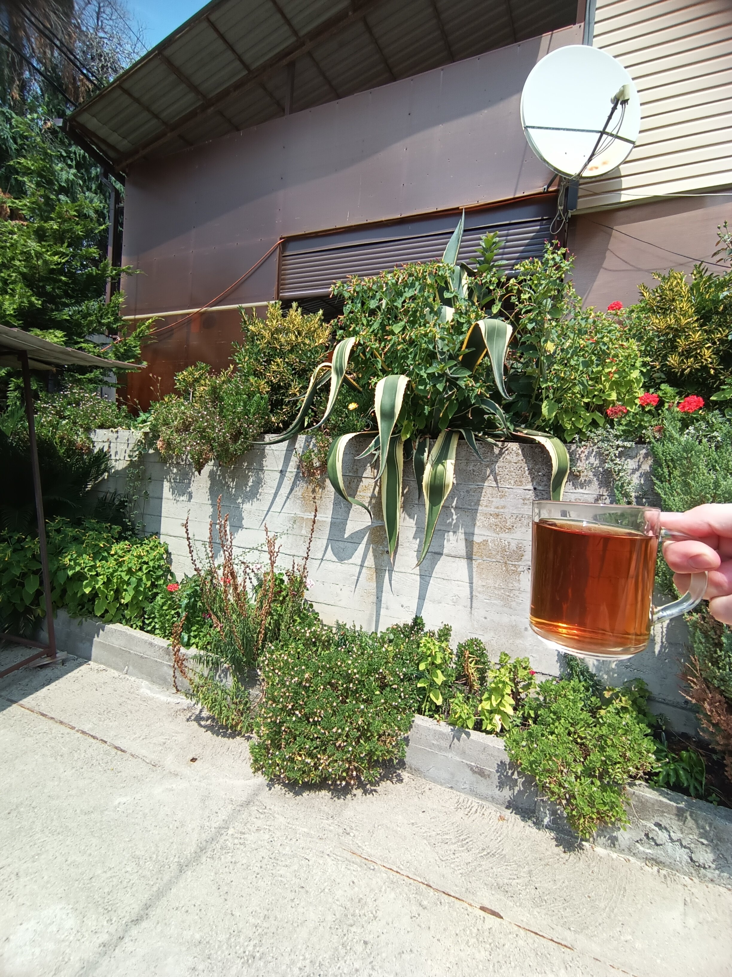 Фото Эвелина