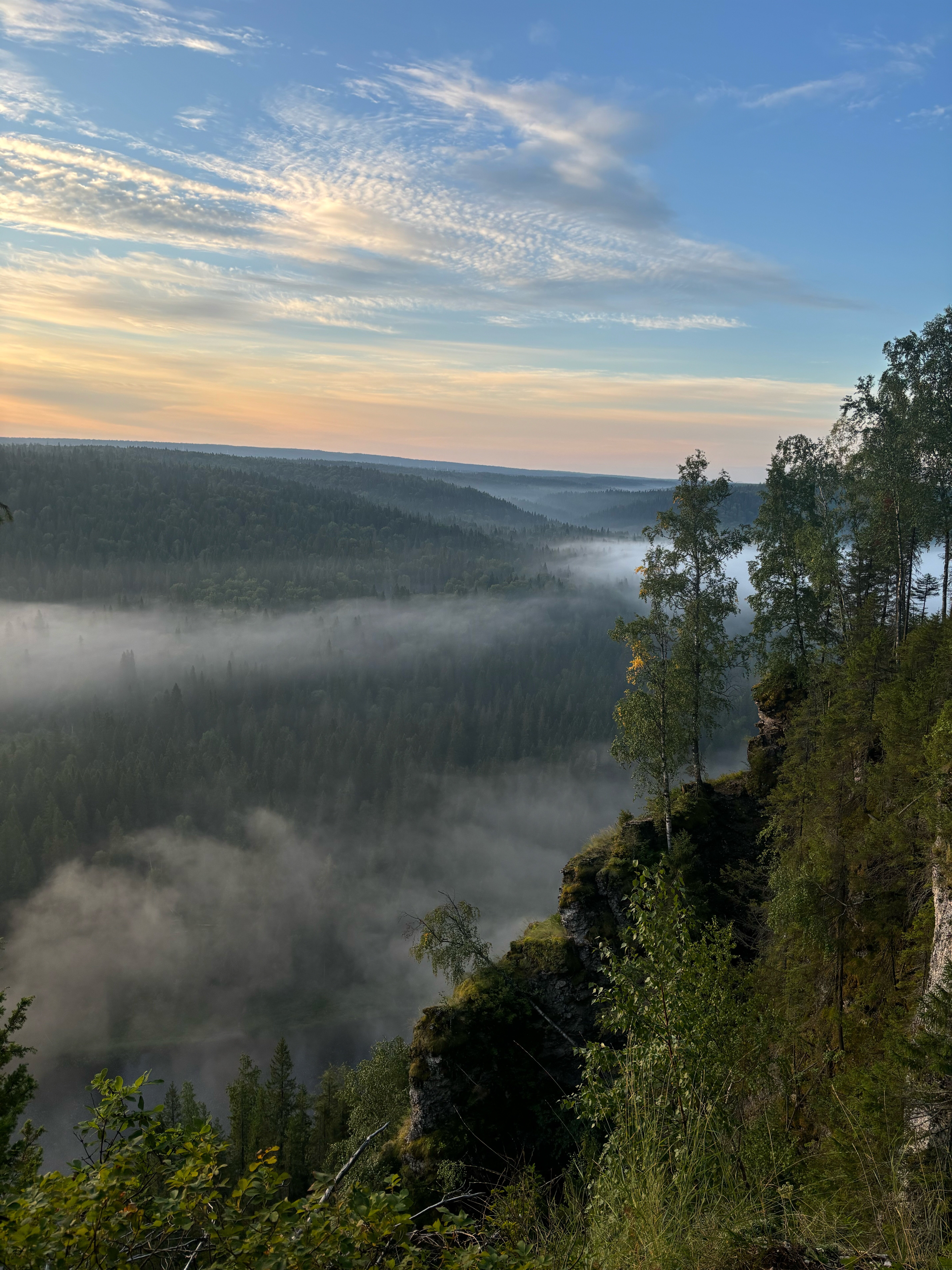 Фото Территория