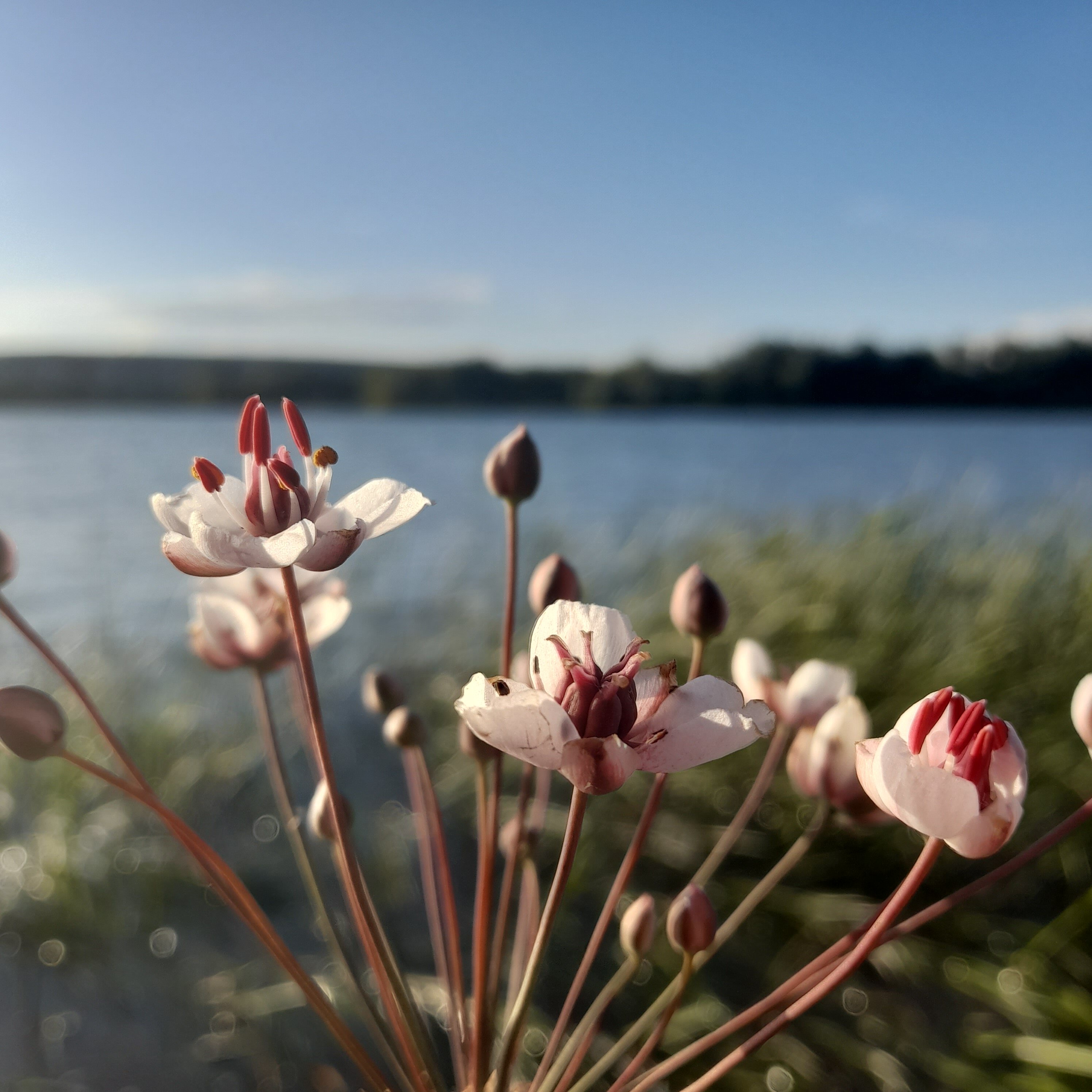 Фото База отдыха Дон