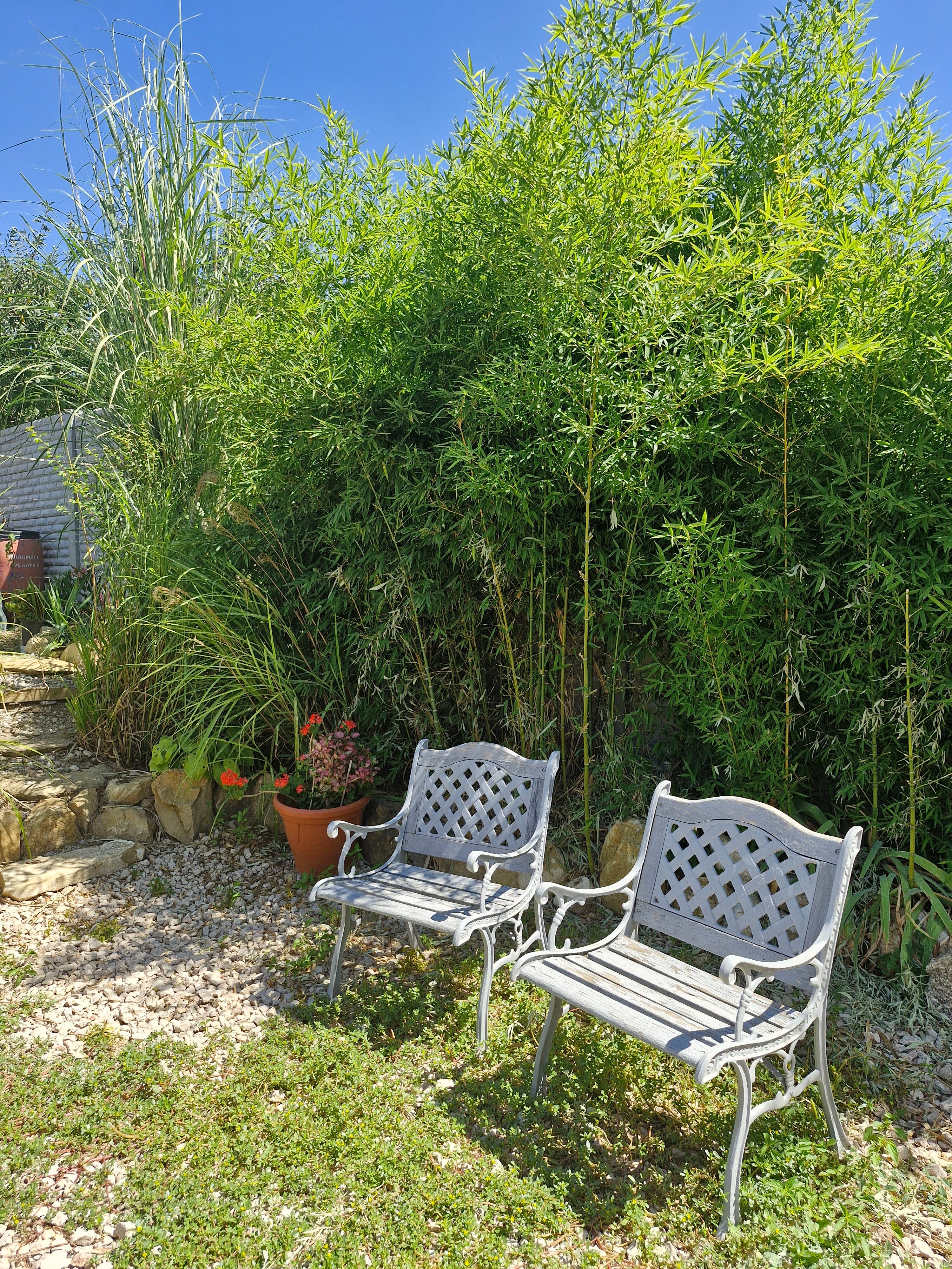 Фото Аморе Море