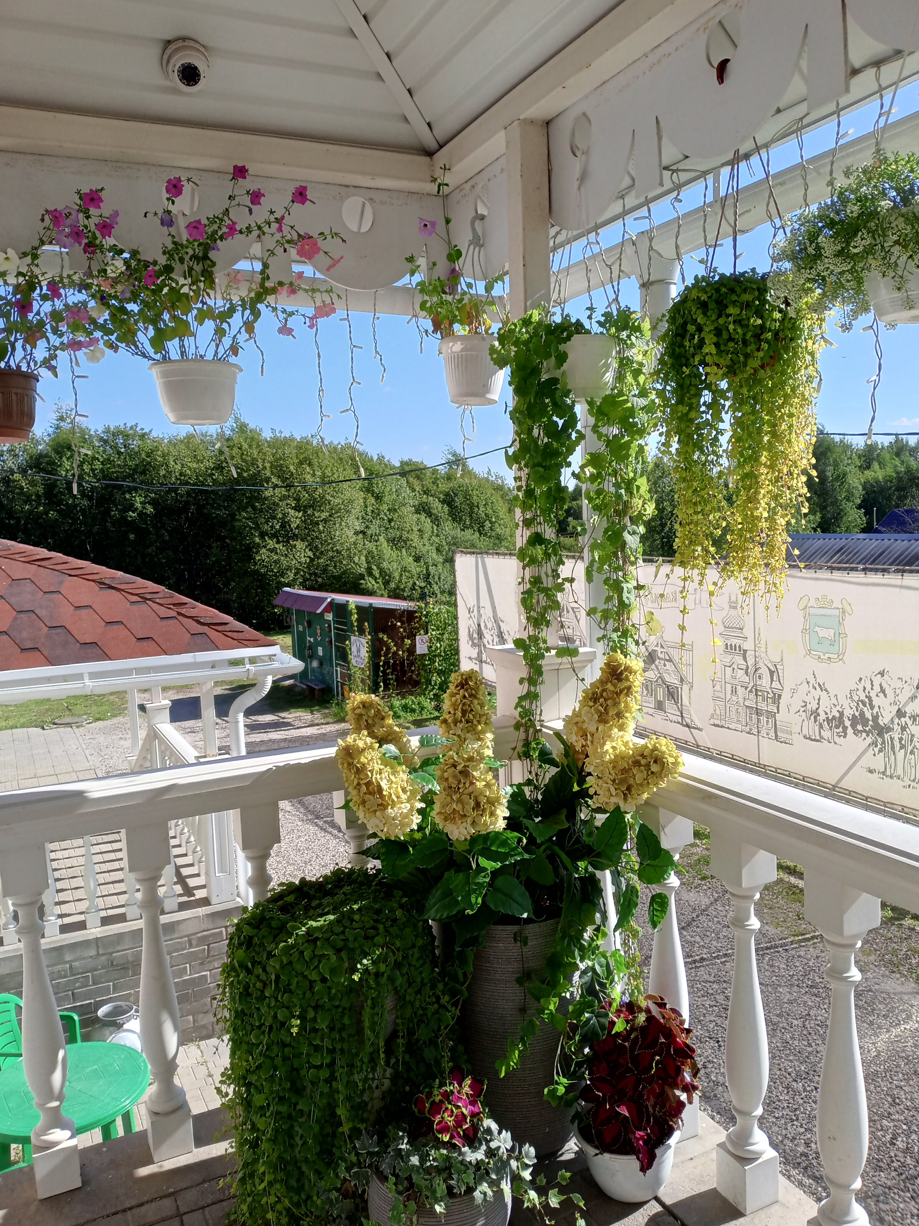 Фото Кострома Сырная