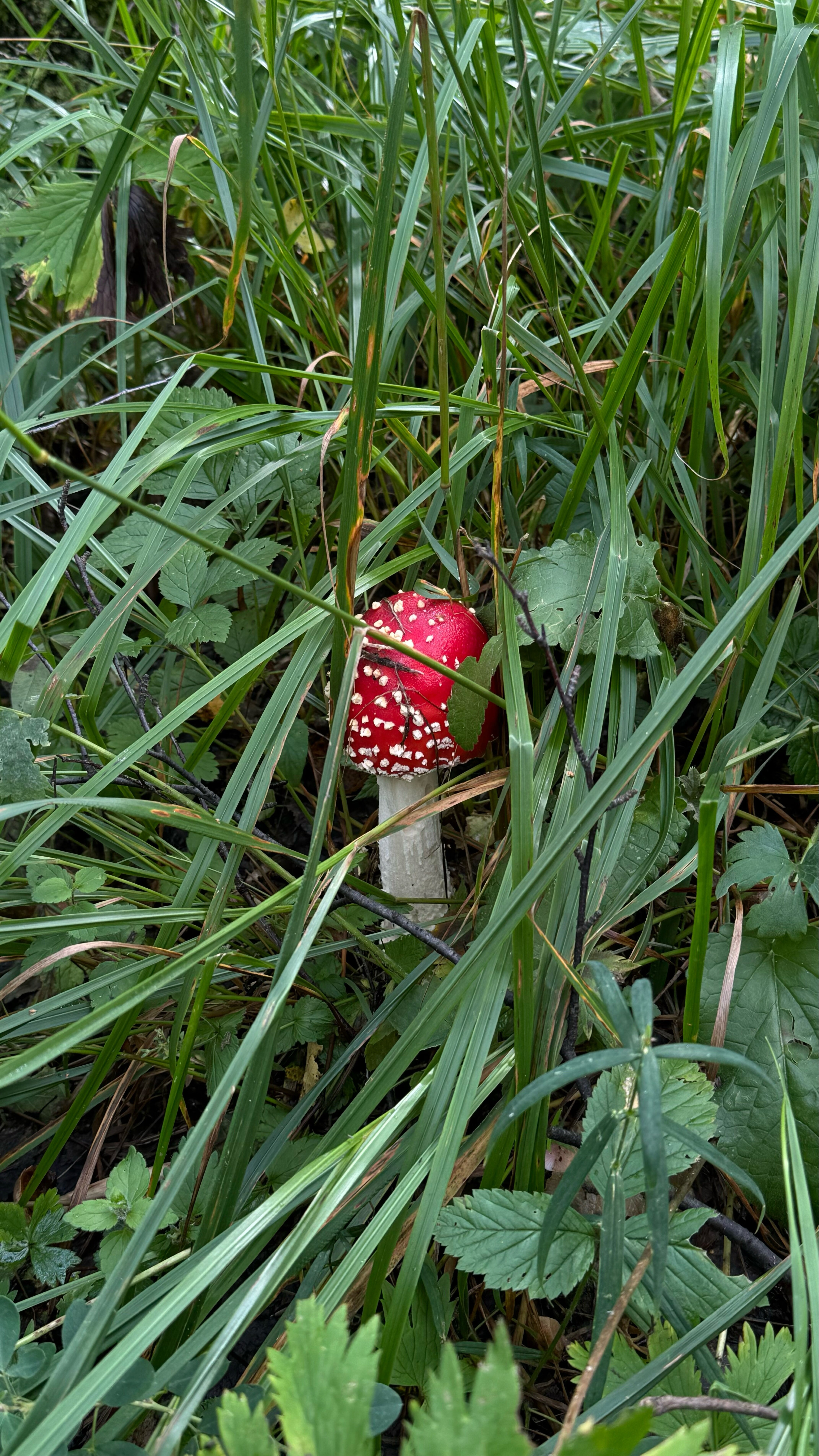 Фото Таганай