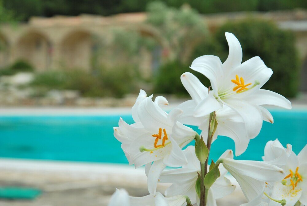 Фото Отель Masseria Relais Santa Teresa