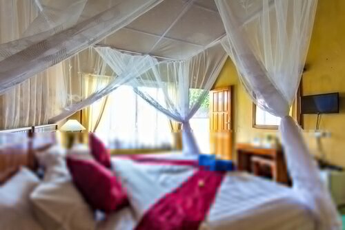 Внешний вид отеля Kubuku Eco Dive Lodge & Yoga в Герокгаке, фото 4