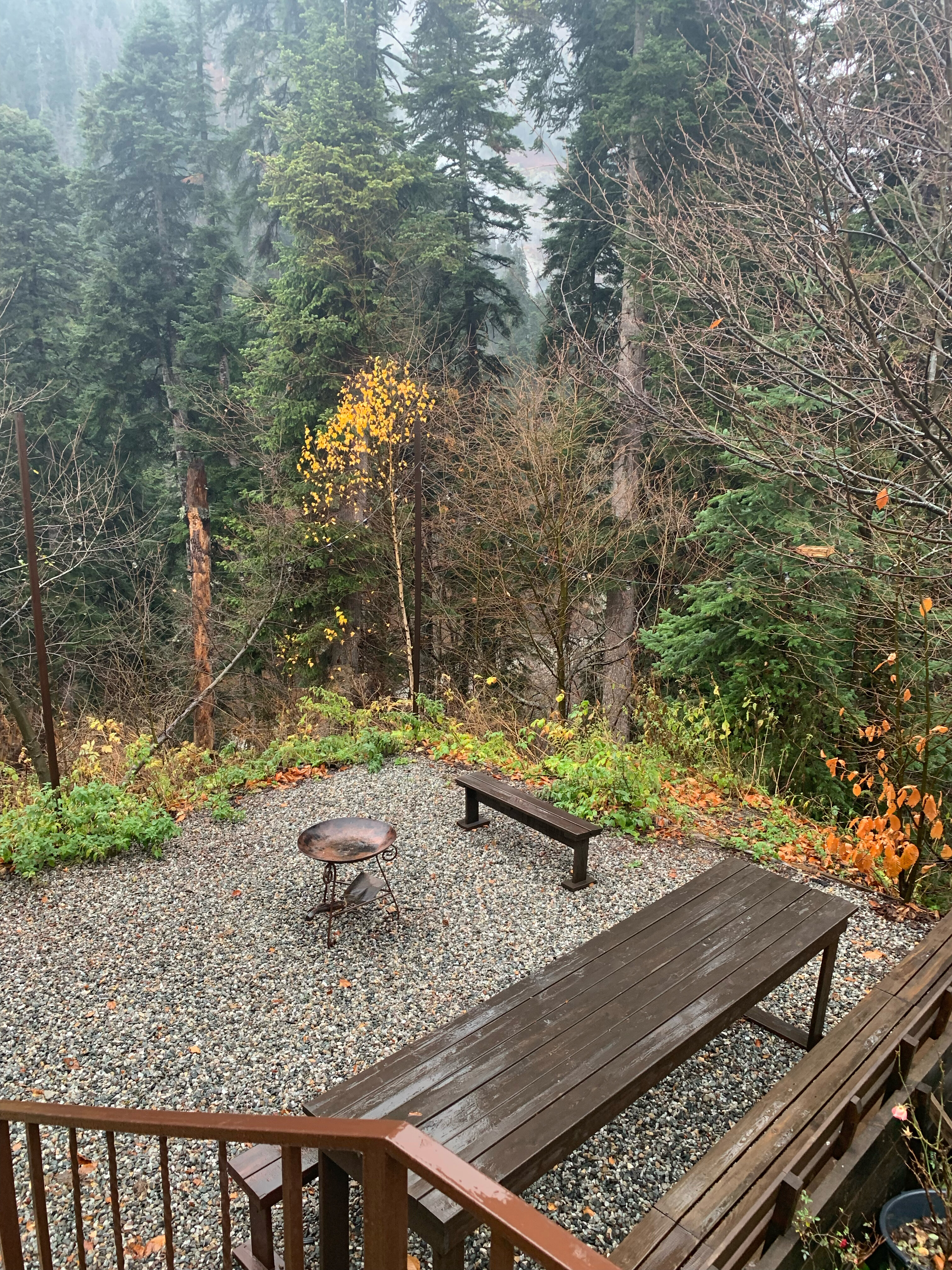 Фото Дубки Snow Point