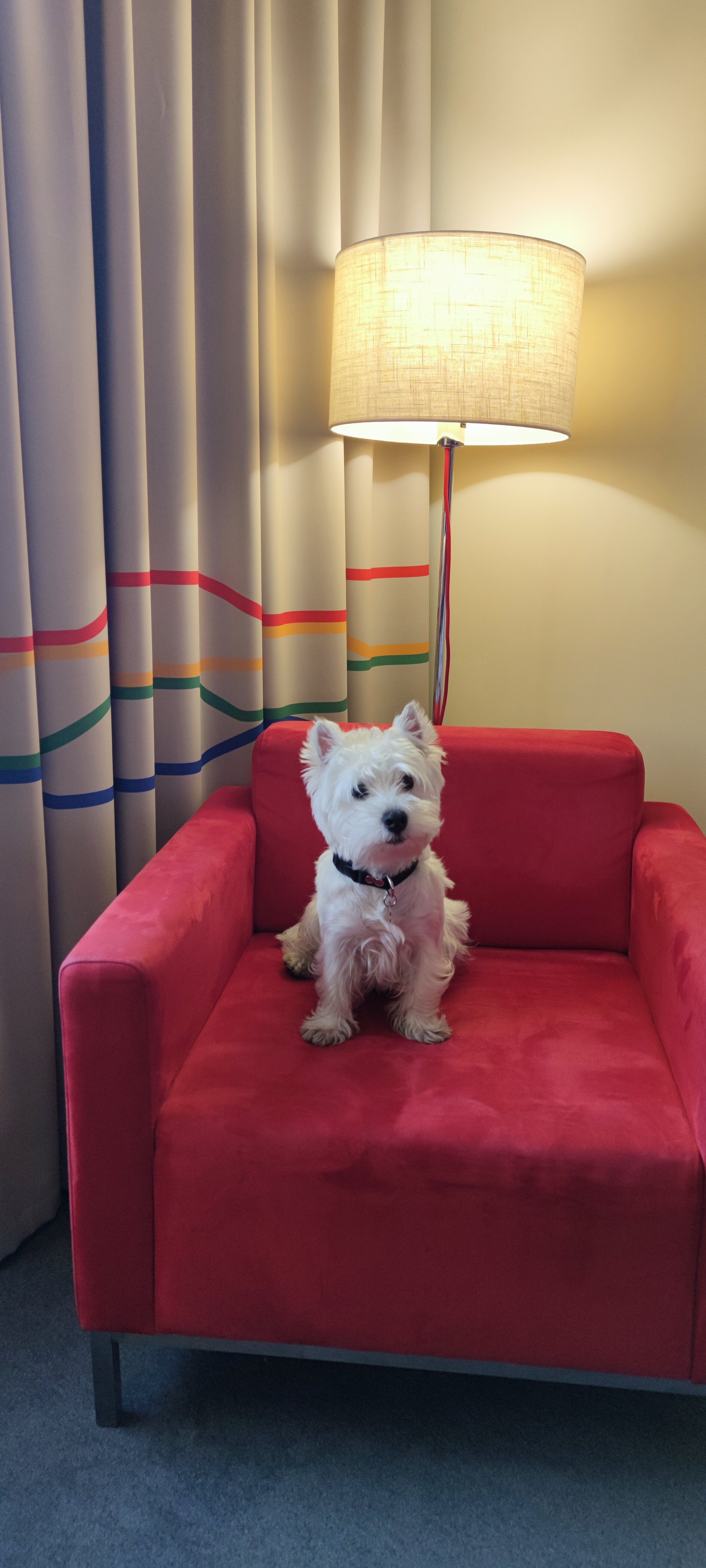 Фото Cosmos Yaroslavl Hotel