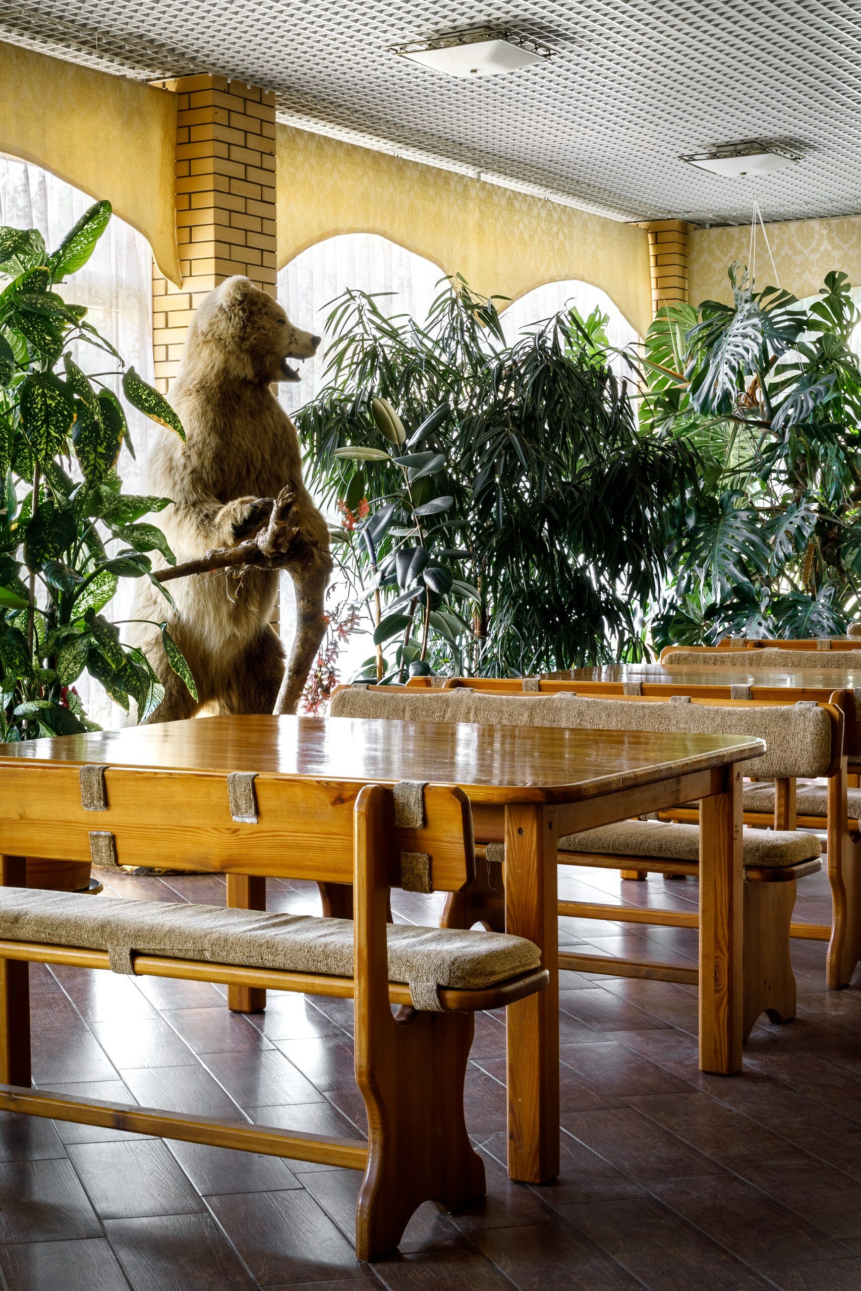 Фото Гостиница Мезмай