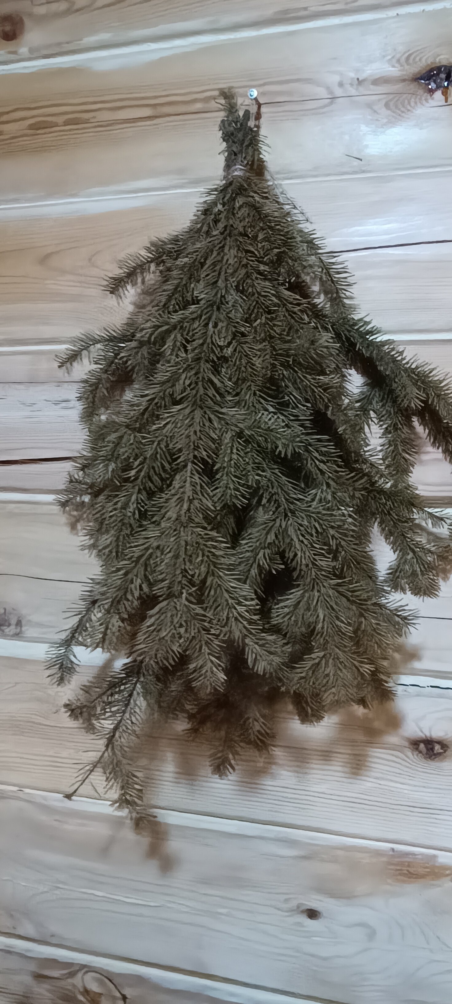 Фото На здоровье!