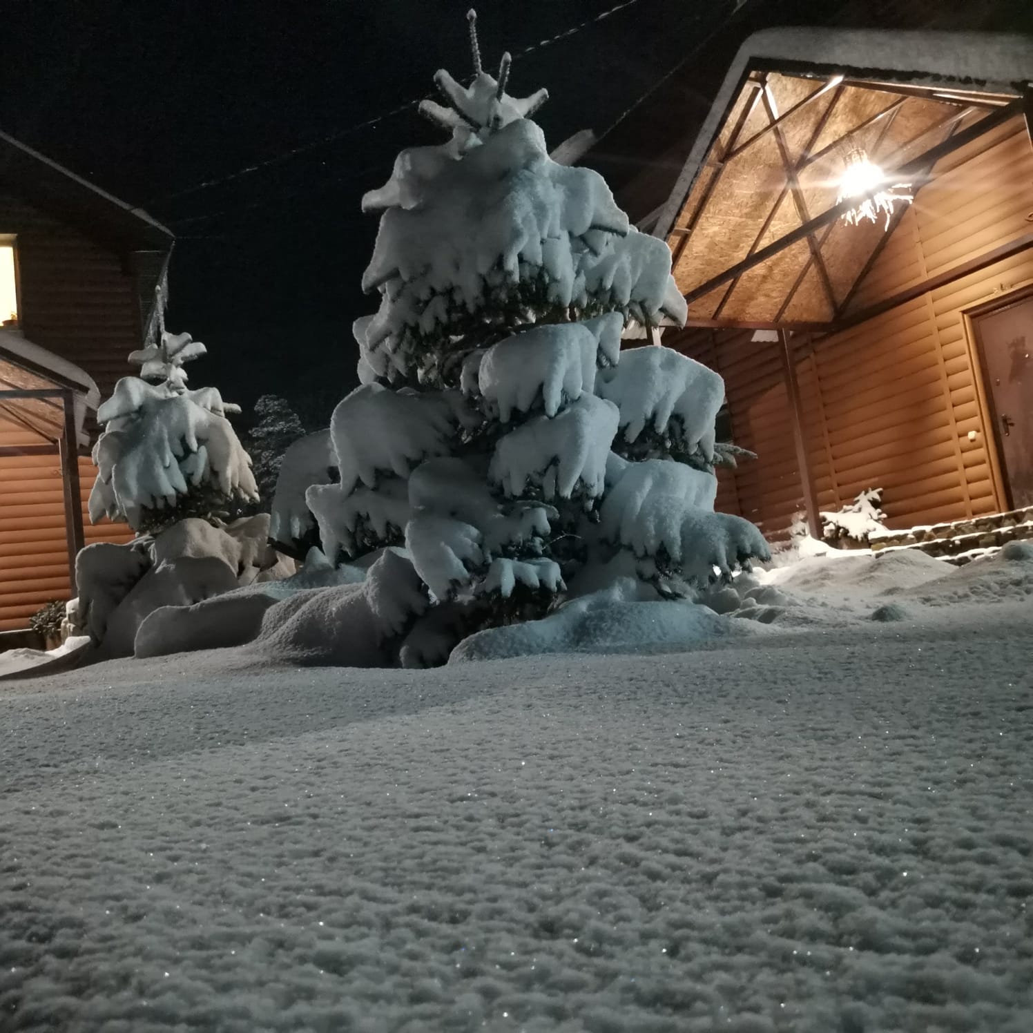 Фото НаМиРа