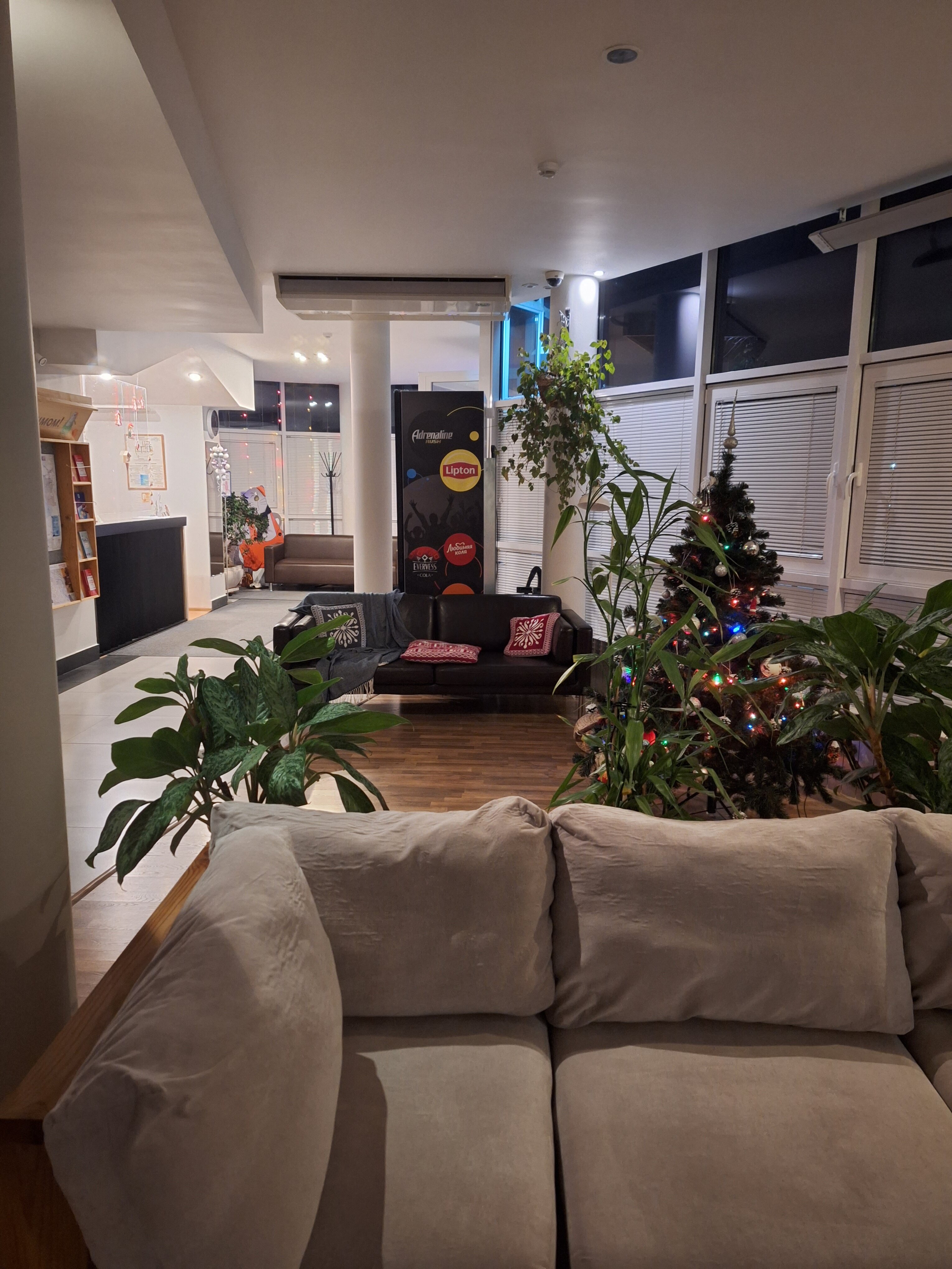 Фото Пилигрим