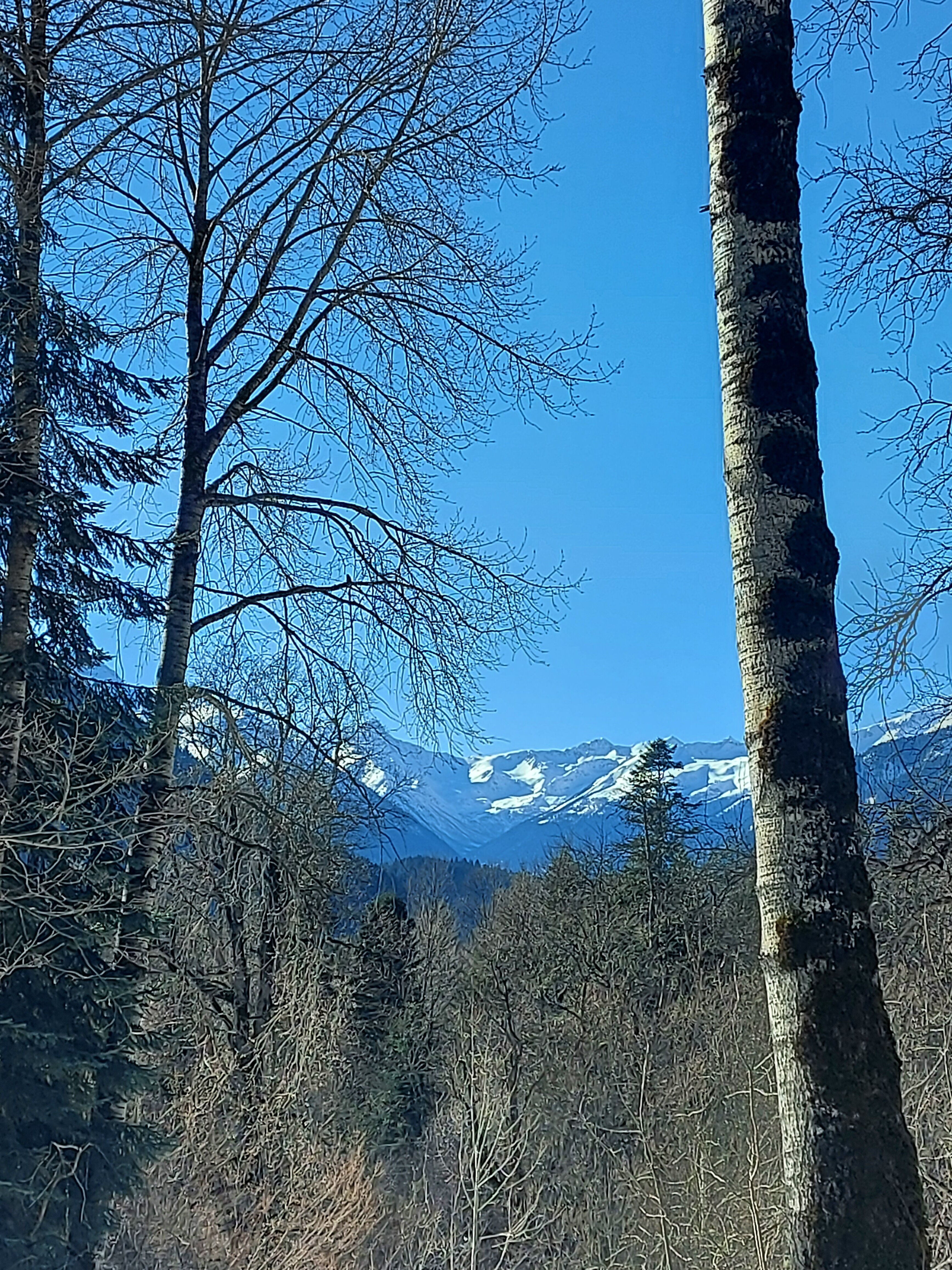 Фото Архыз Шале Хаус