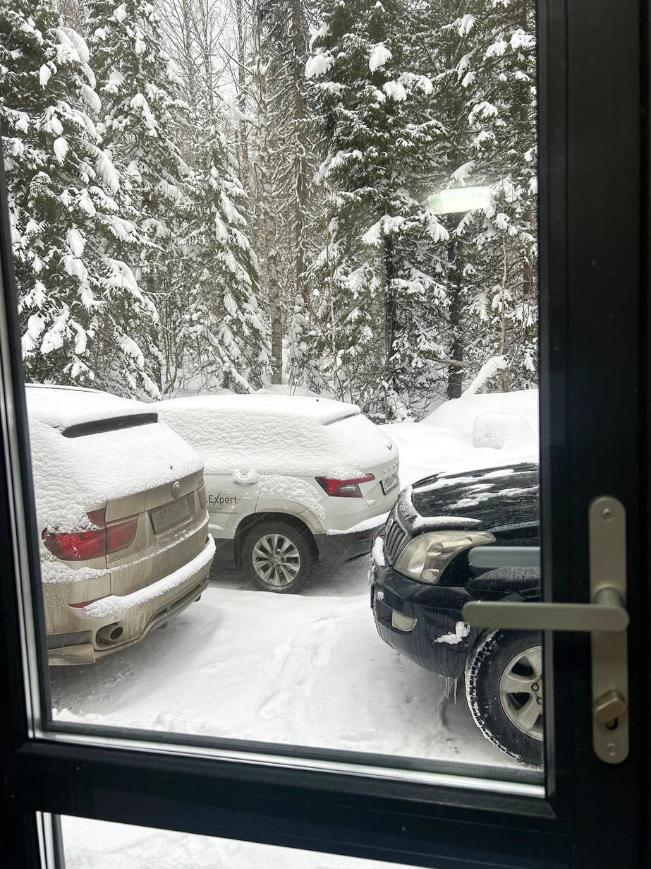 Фото Брусника № 1