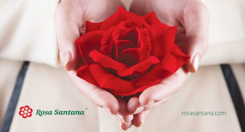 Искусственные растения и цветы Rosa Santana, Ростов‑на‑Дону, фото