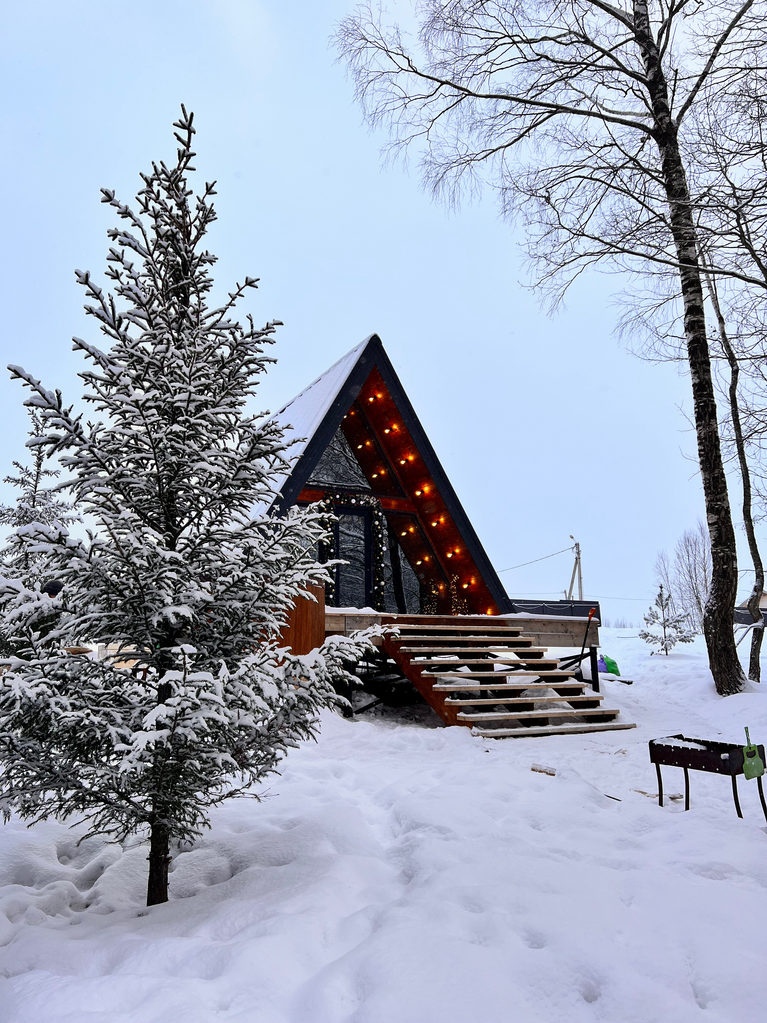 Фото Ильинка лес