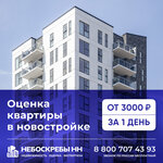 Neboskreby NN (Gagarina Avenue, 166) ، وكالة عقارية