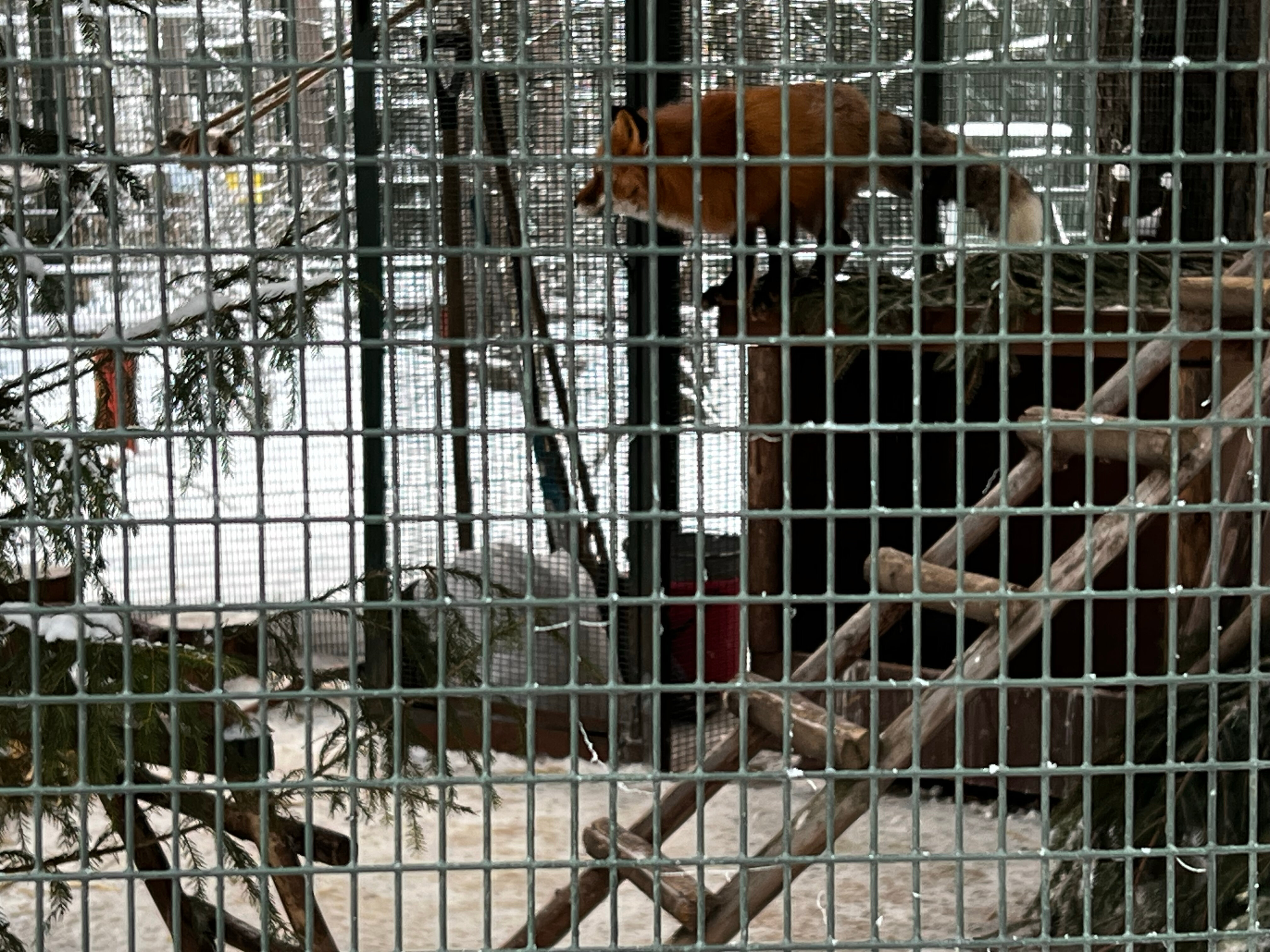 Фото Вотчина Деда Мороза