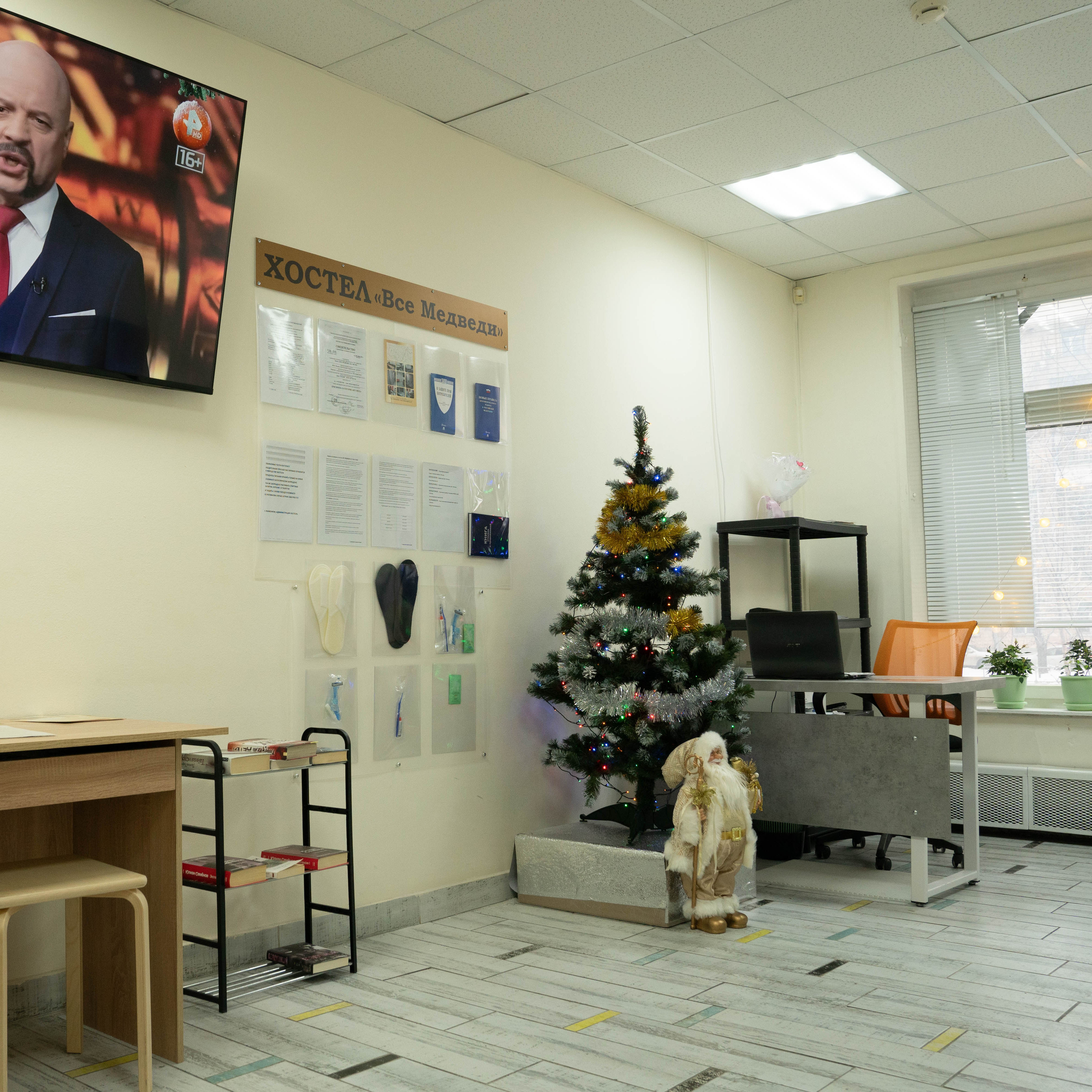 Фото Все медведи