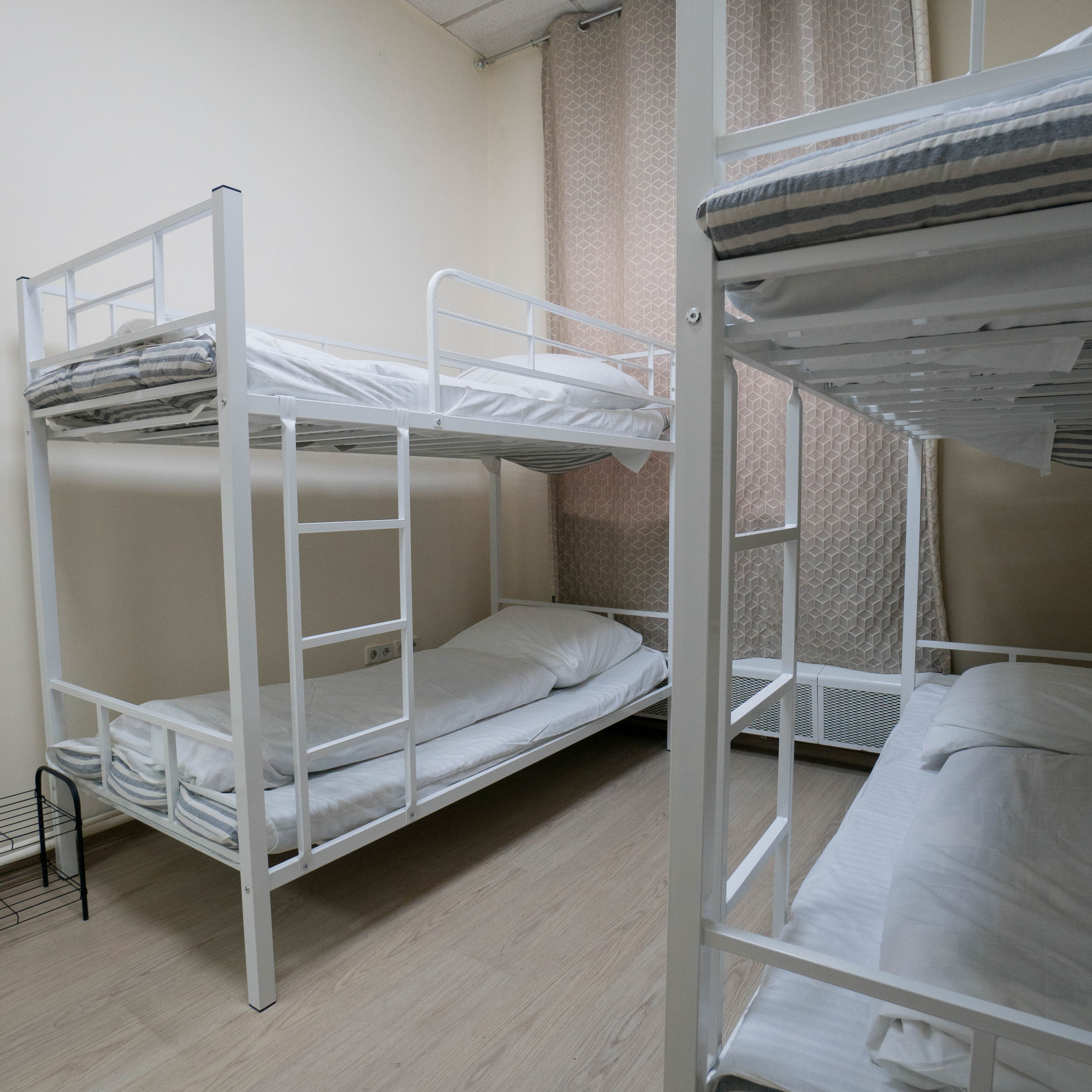 Фото Все медведи