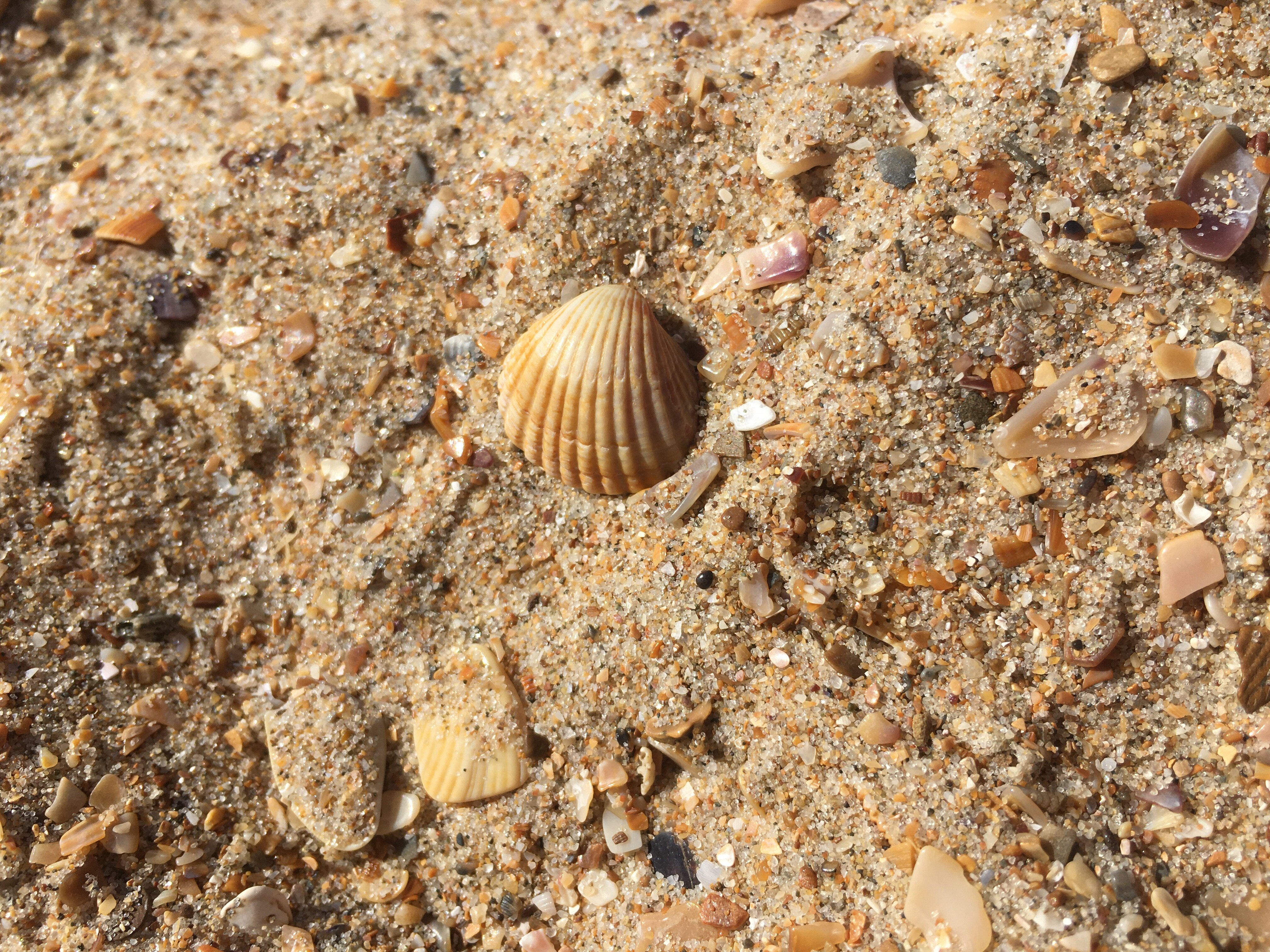 Фото Анисья