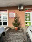 Дом в Каменке (21-я улица Коллективных Садов, 252), real estate agency
