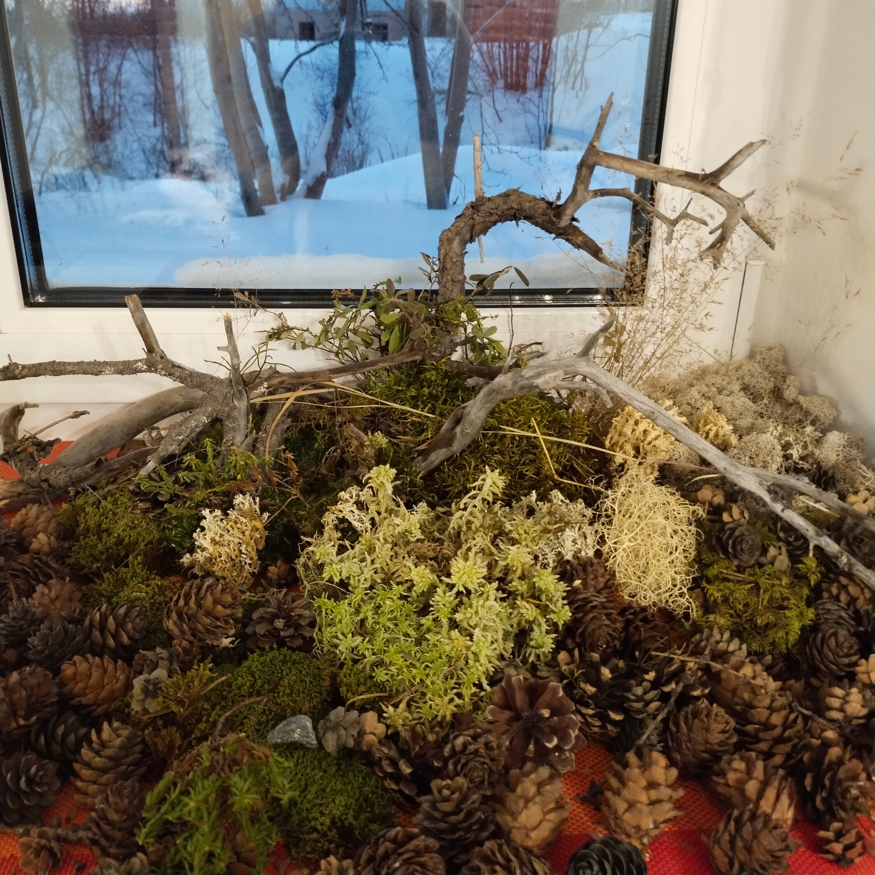 Фото Сарвара