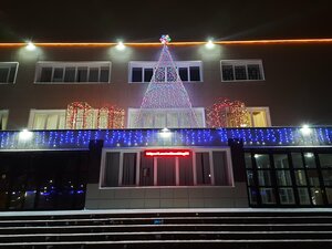 Gorodskoy dvorets kultury (ulitsa Sedova, 98), casa de la cultura